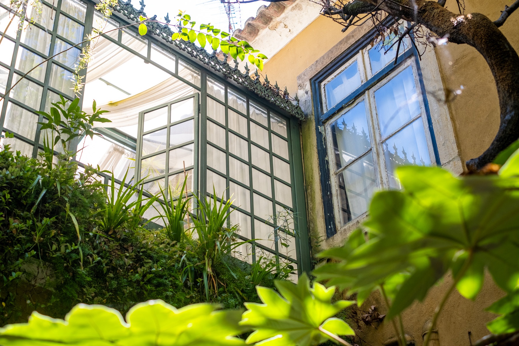  House, 10 bedrooms, for Sale - 物件實景