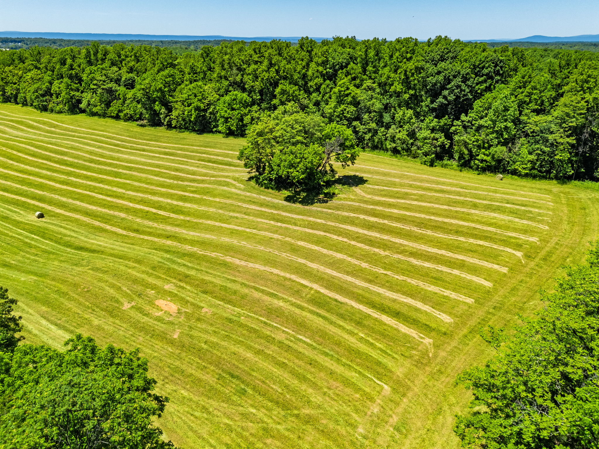  16318 Canal Road, Sharpsburg, MD 21782 - 物件實景