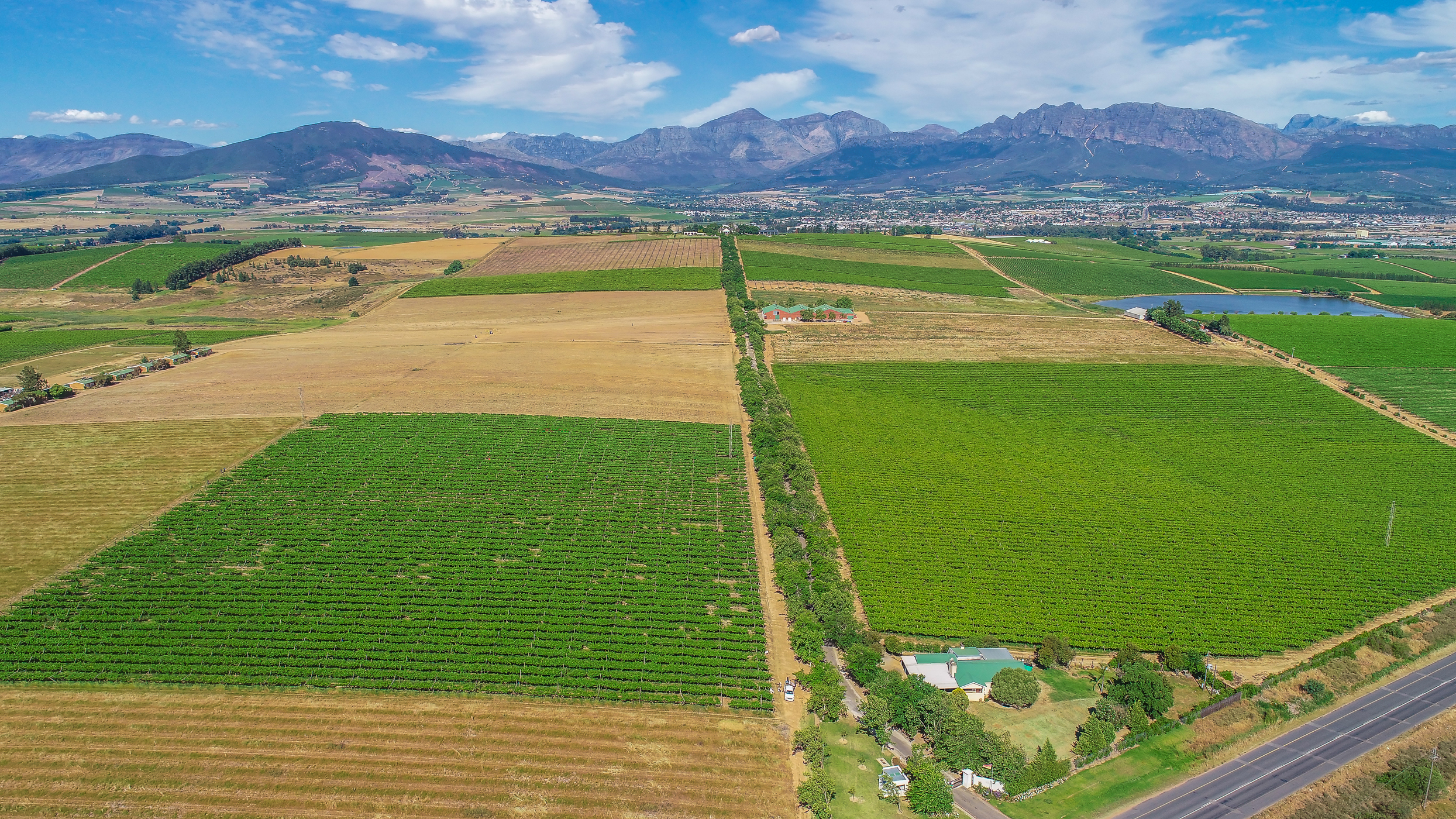  Wellington Export Farm - 物件實景