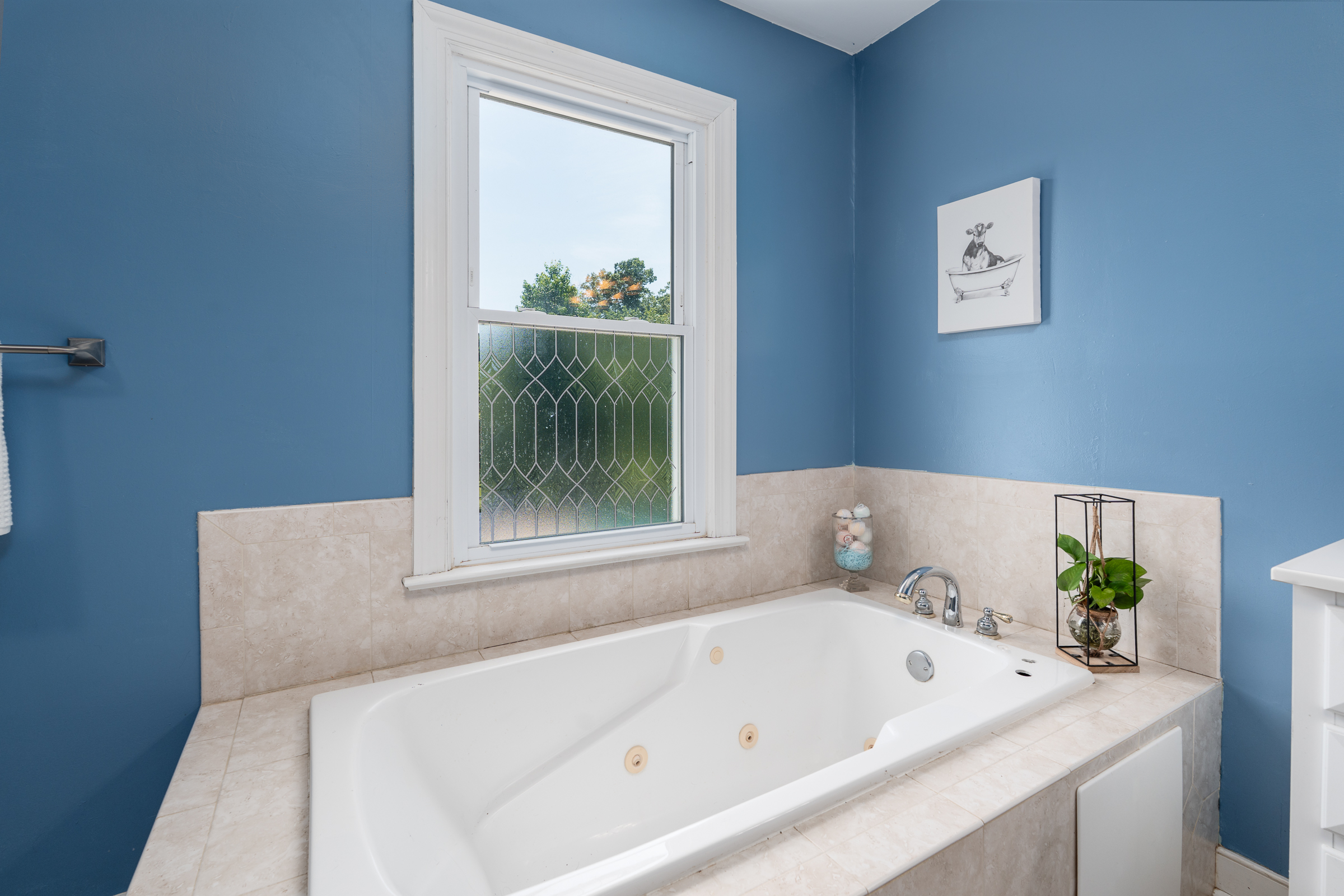  12289 Cedar Lane, Hanover, VA 23005 - 物件實景
