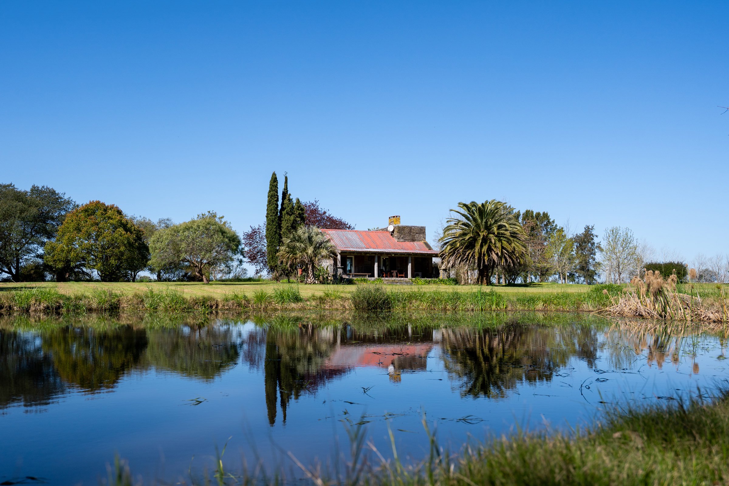  Farm in Lapataia with three buildings. - 物件實景