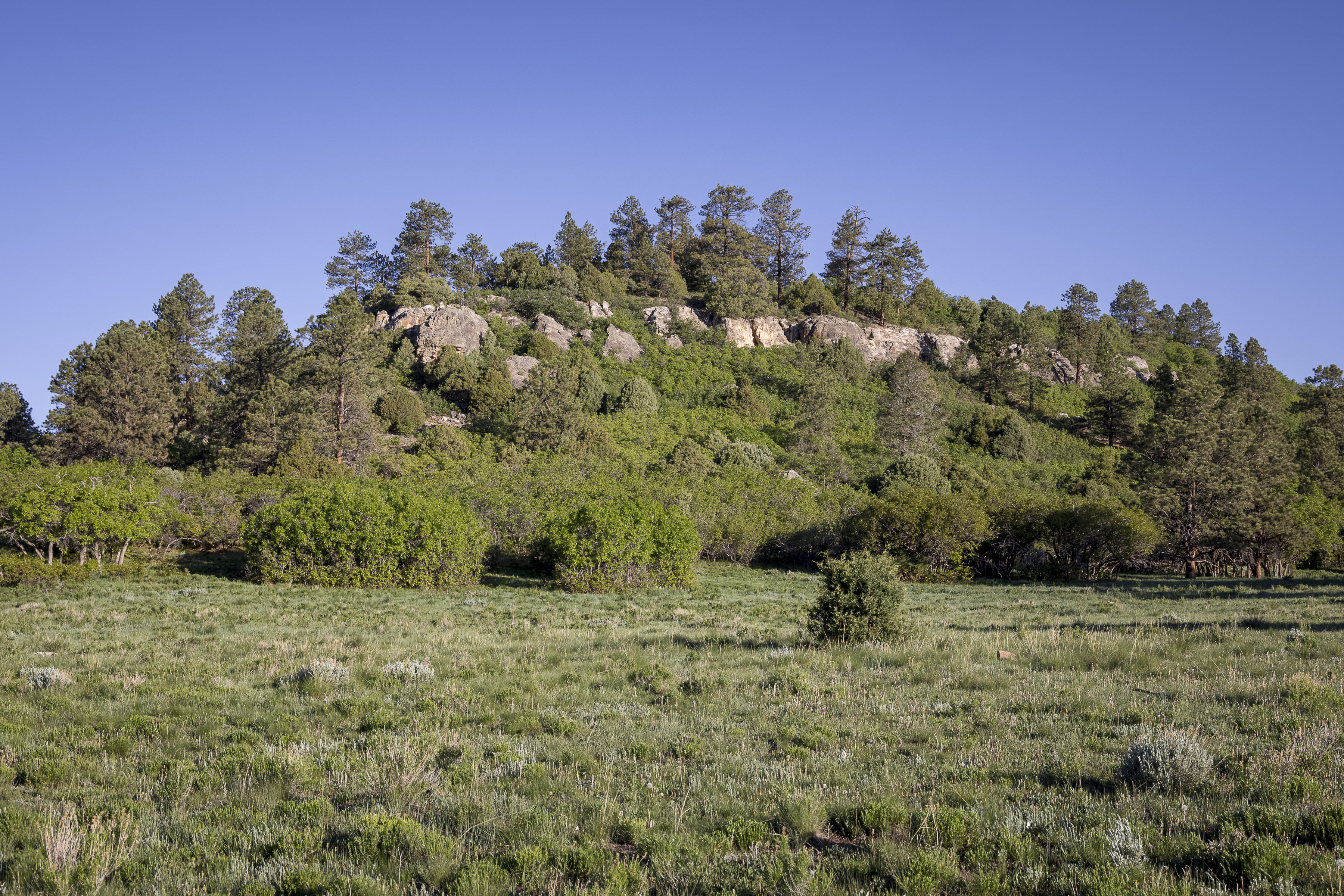  Telluride Renegade Ranch - 602 acres on Hastings Mesa - 物件實景