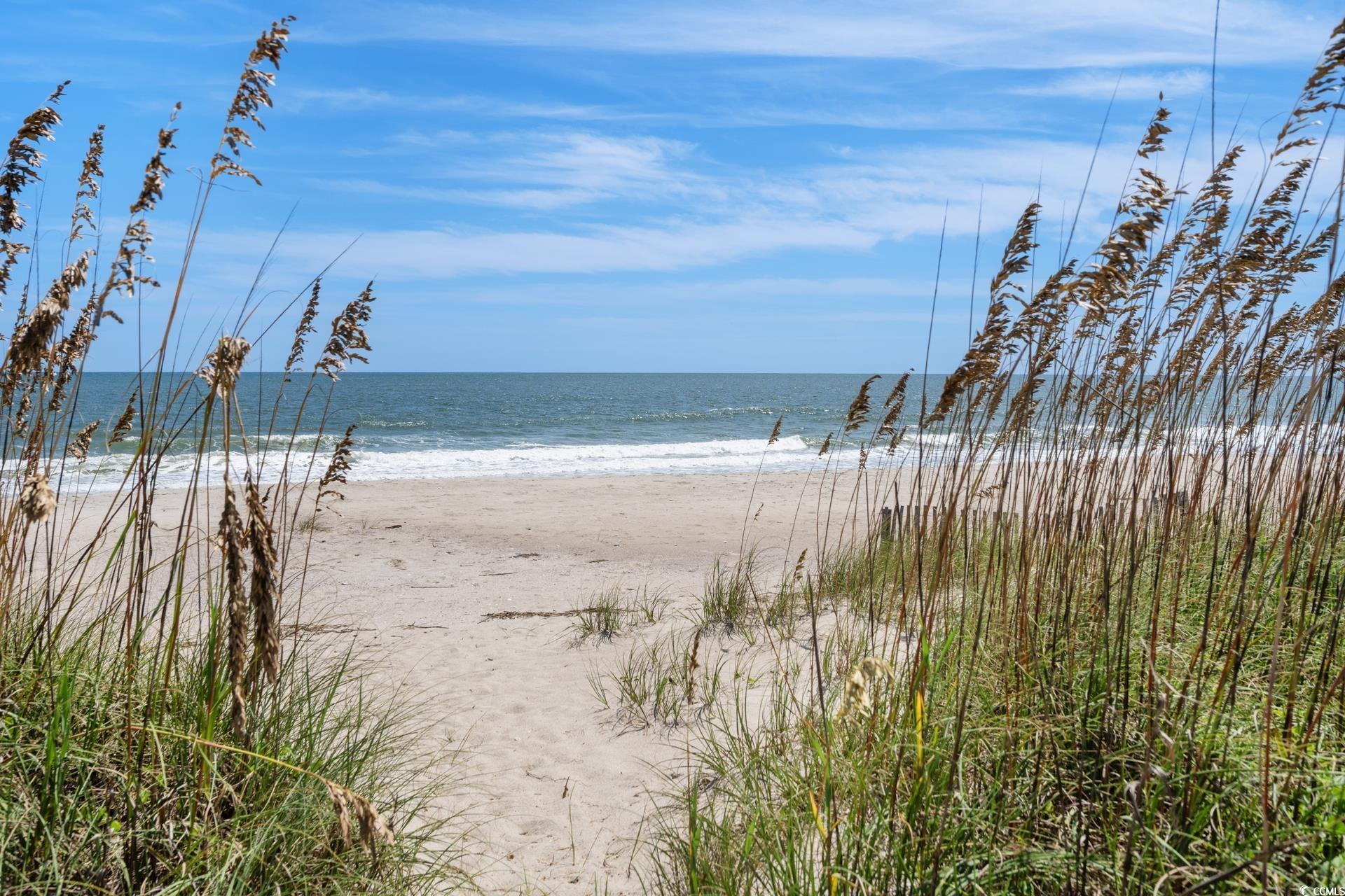  116 Summer Haven Ct  DeBordieu Colony - 物件實景