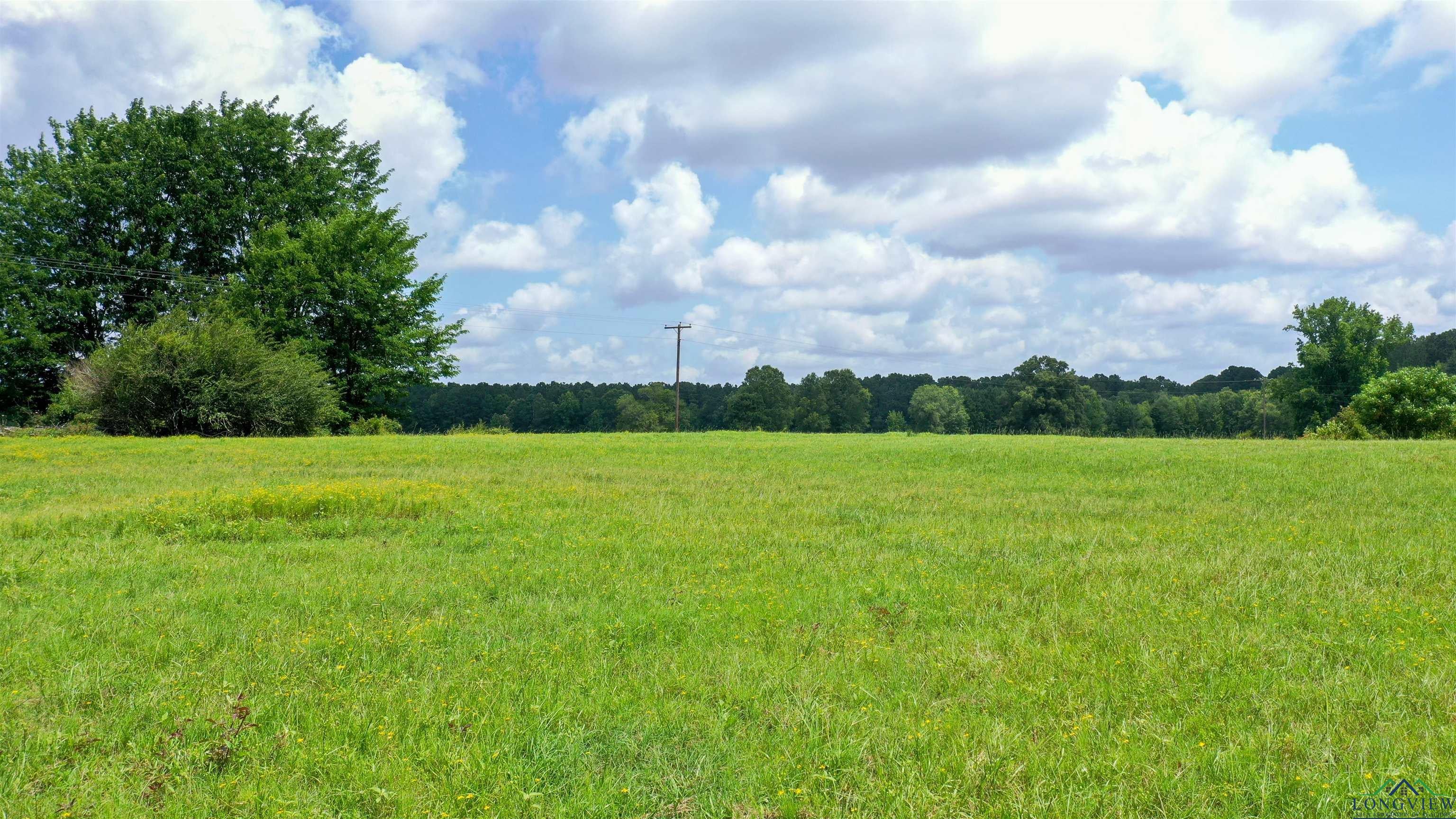 Linden, Texas, 75563, United States, ,Land,For Sale,1975448