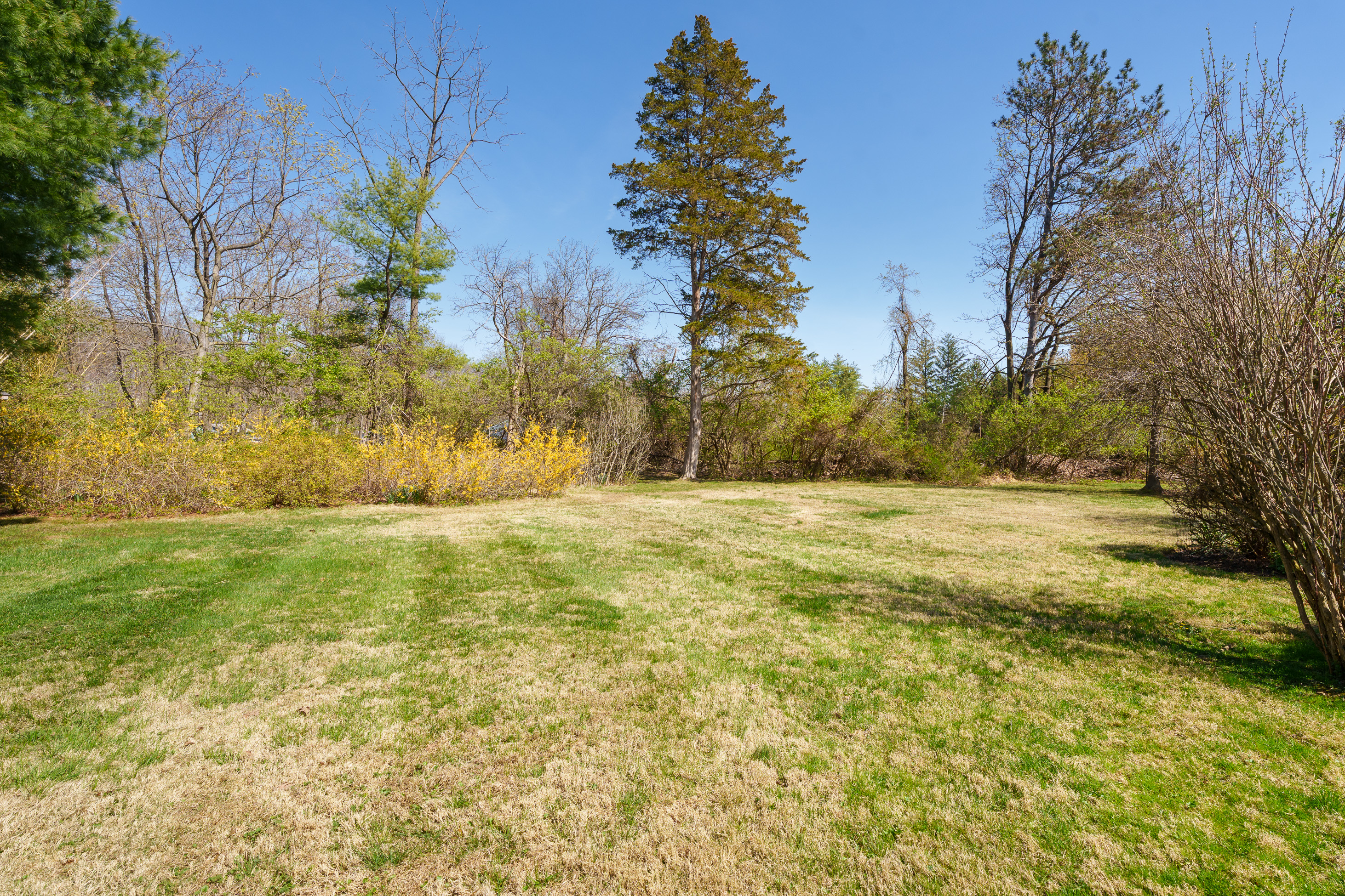  Create Your Dream Home in the Perfect Central location - 物件實景