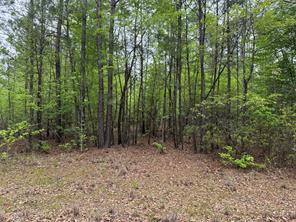 Naples, Texas, 75568, United States, ,Land,For Sale,1786234