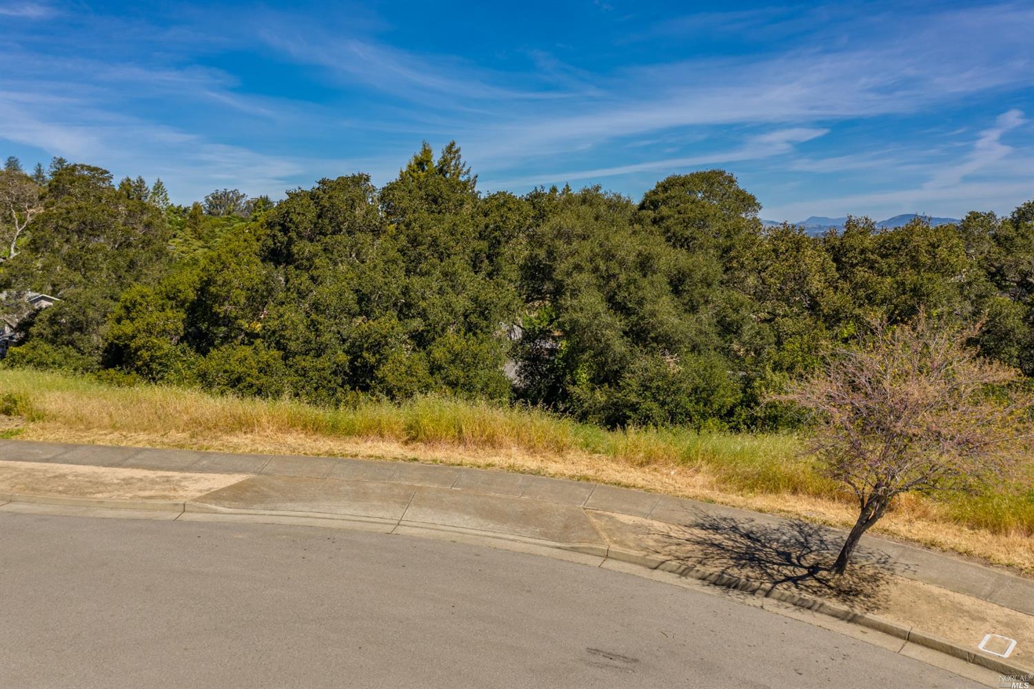 Petaluma, California, 94952, United States, ,Land,For Sale,1940738