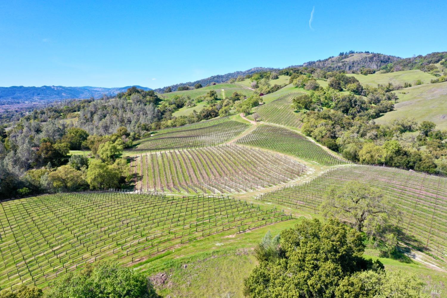 Cloverdale, California, 95425, United States, 5 Bedrooms Bedrooms, ,5 BathroomsBathrooms,Residential,For Sale,1759747