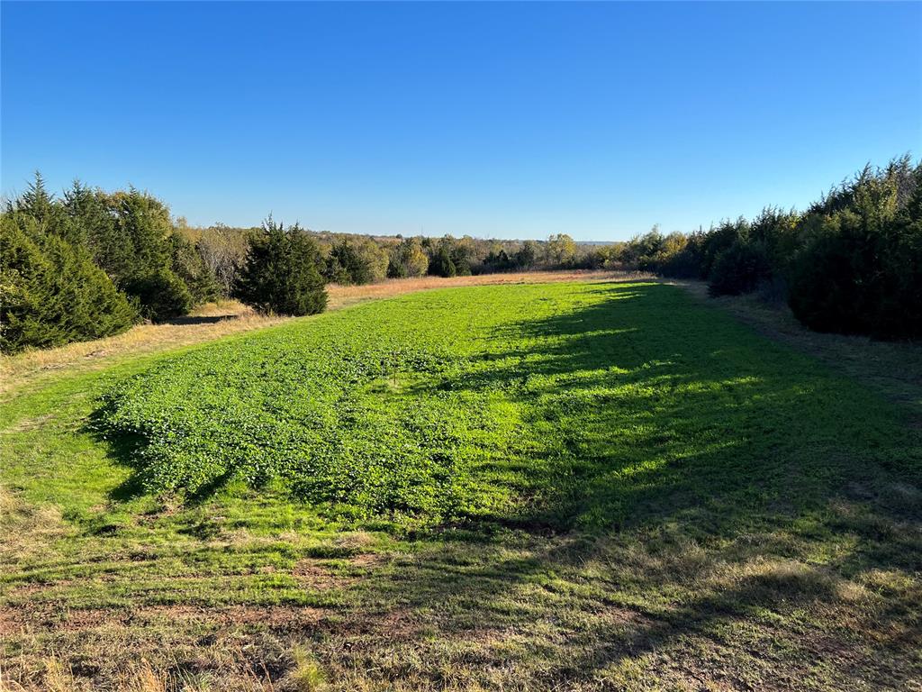 Goldsby, Oklahoma, 73093, United States, ,Land,For Sale,1976317