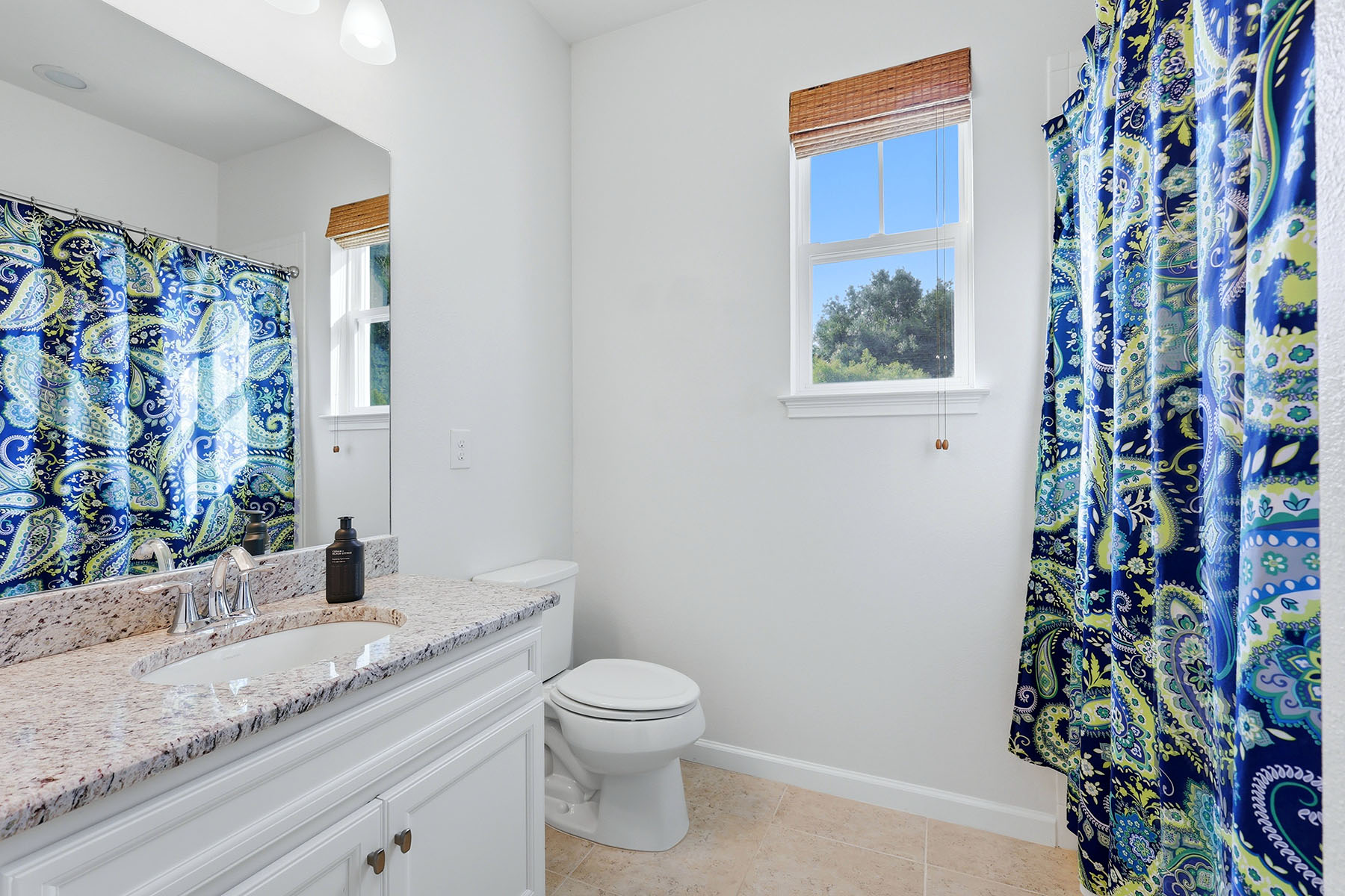  HARMONY AT LAKEWOOD RANCH PH II-C 1-4 - 物件實景
