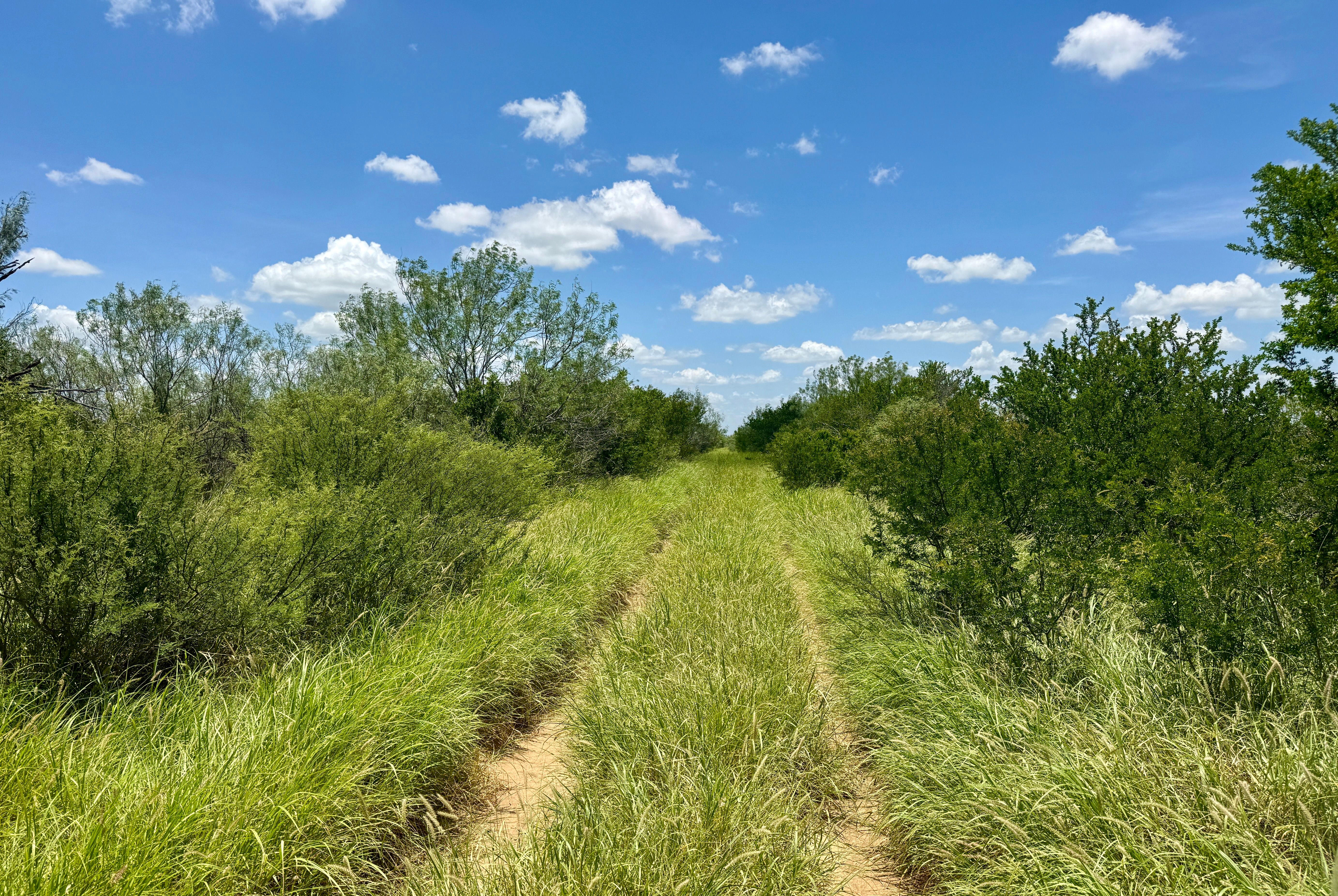  O6 Ranch in Frio County - 物件實景