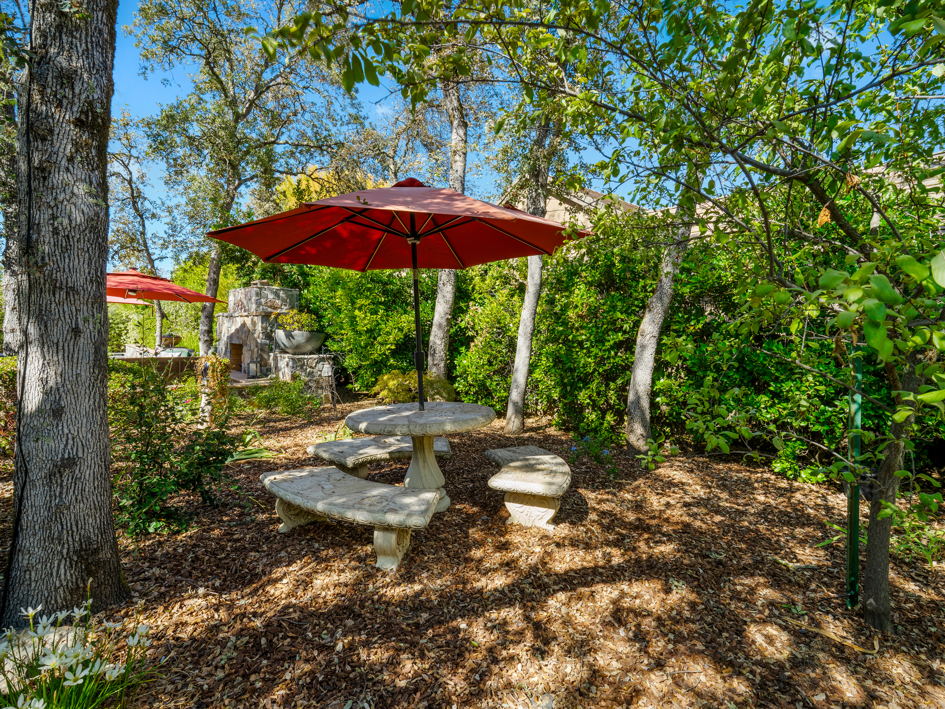  3338 Greenview Drive, El Dorado Hills, CA 95762 - 物件實景