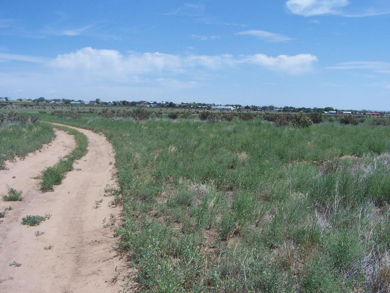 Hillcrest, Edgewood, New Mexico, 87015, United States, ,Land,For Sale,Hillcrest,1619978