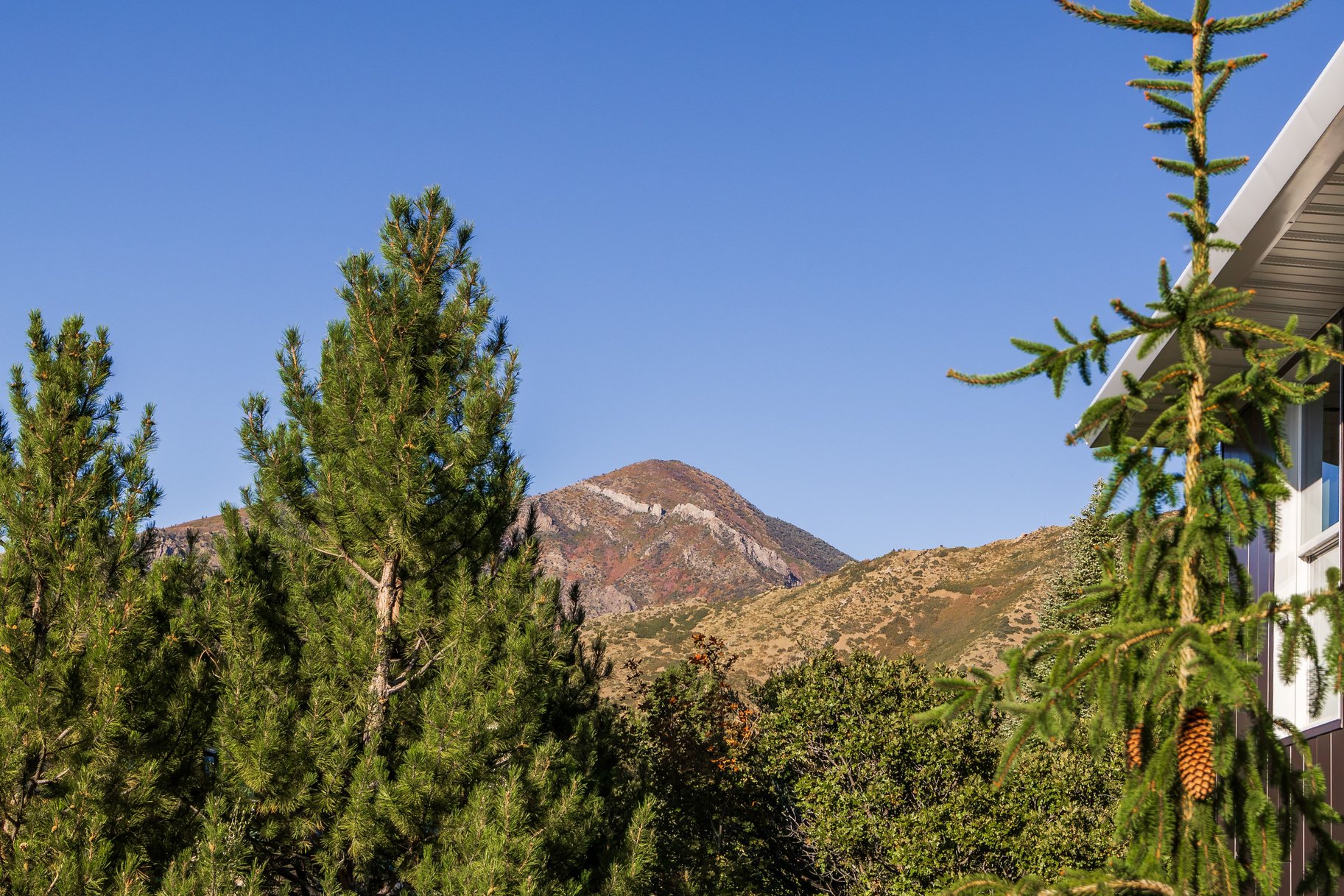  Renovated Olympus Cove Rambler with Sweeping Valley Views - 物件實景