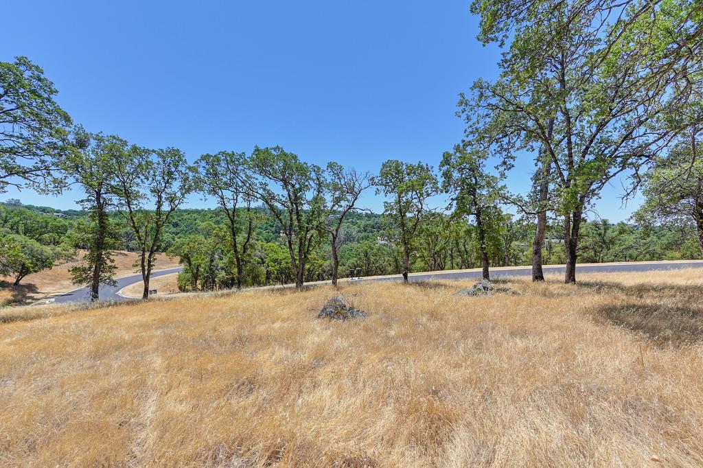 El Dorado Hills, California, 95762, United States, ,Land,For Sale,1874458