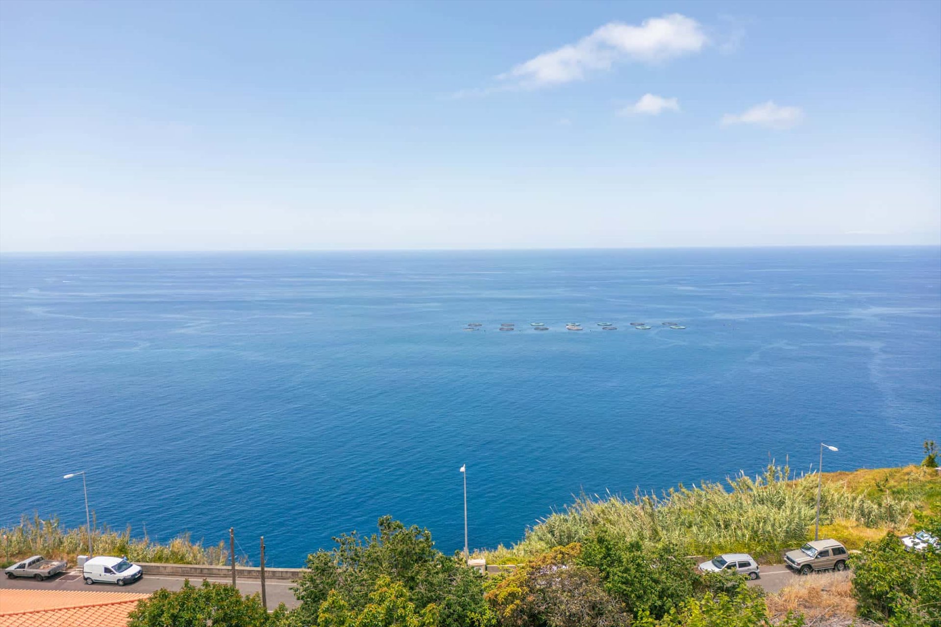  Stand for Sale - 物件實景