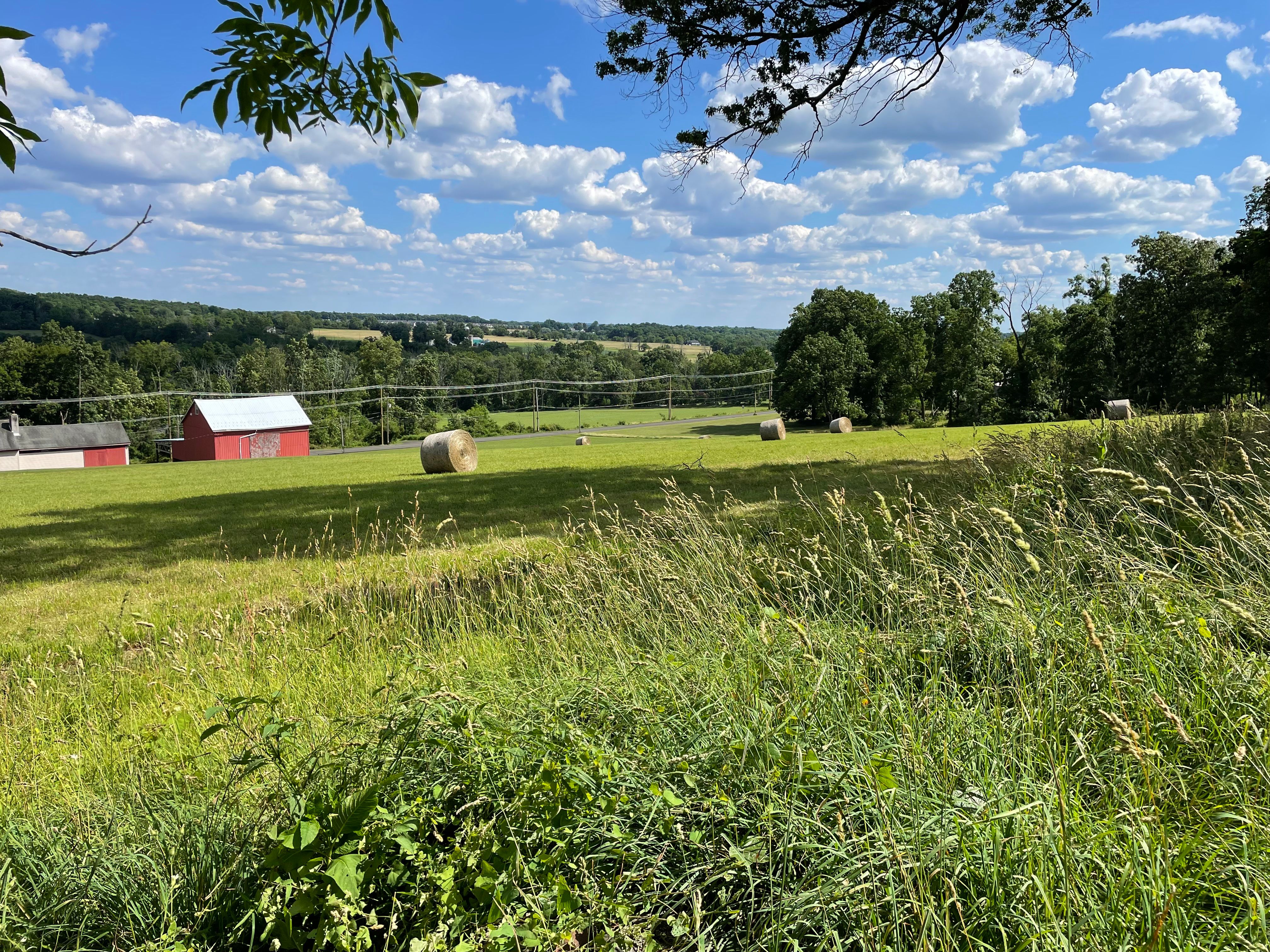  4099 Curly Hill Road, Doylestown, PA 18902 - 物件實景