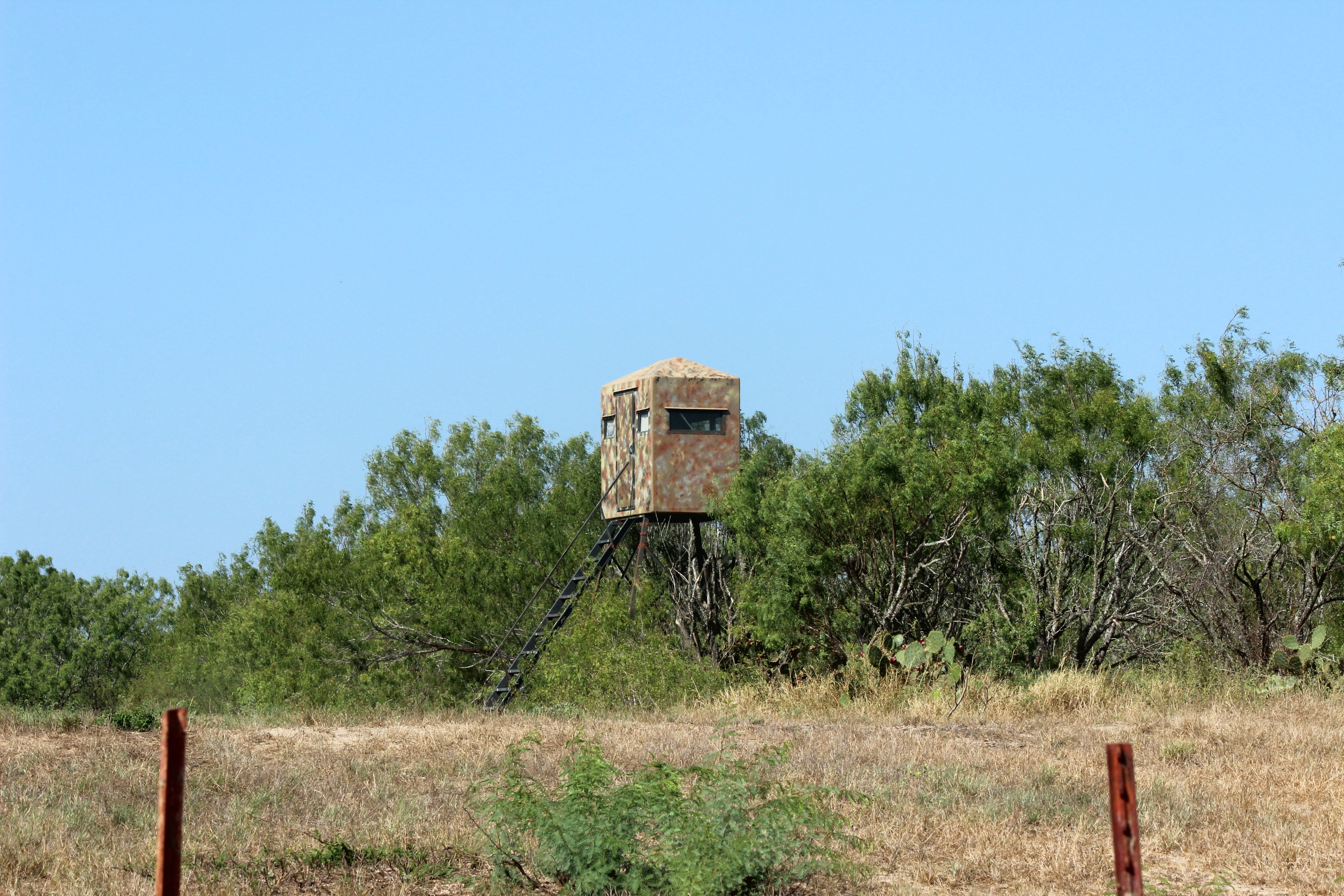  1,947-Acre Neuces West Ranch - 物件實景