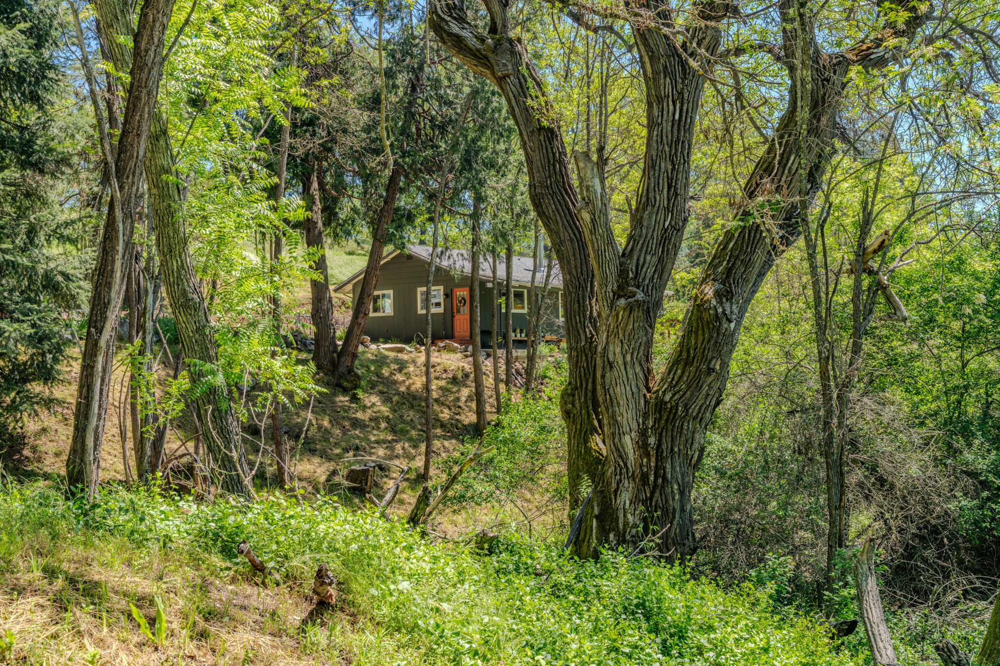  16308 emigrant  trail, volcano, ca 95689 - 物件實景