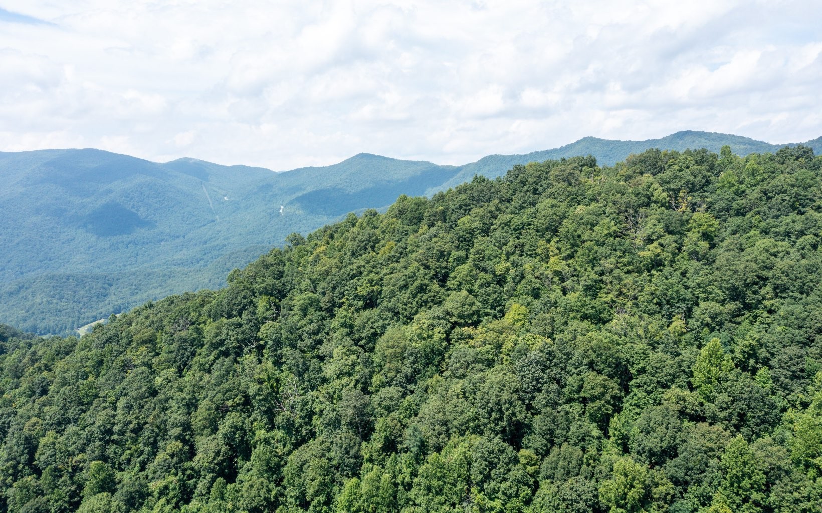 101ac Lori'S Mountain, Hayesville, North Carolina, 28904, United States, ,Residential,For Sale,101ac Lori'S Mountain,1304629