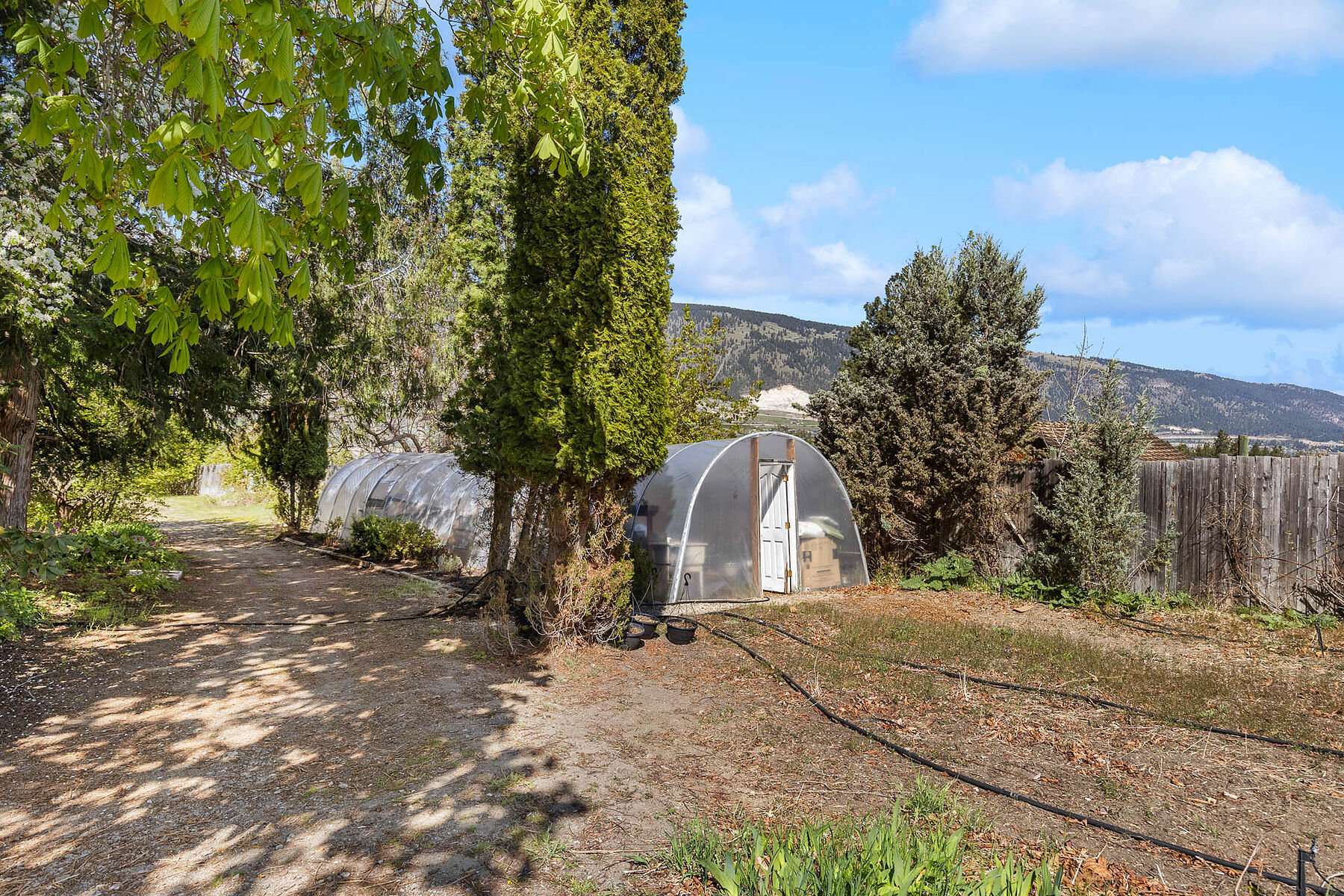  2.63 Acres in Oyama - 物件實景