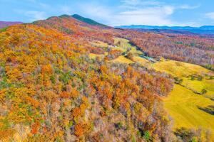 Fincastle, Virginia, 24090, United States, ,Residential,For Sale,1989448