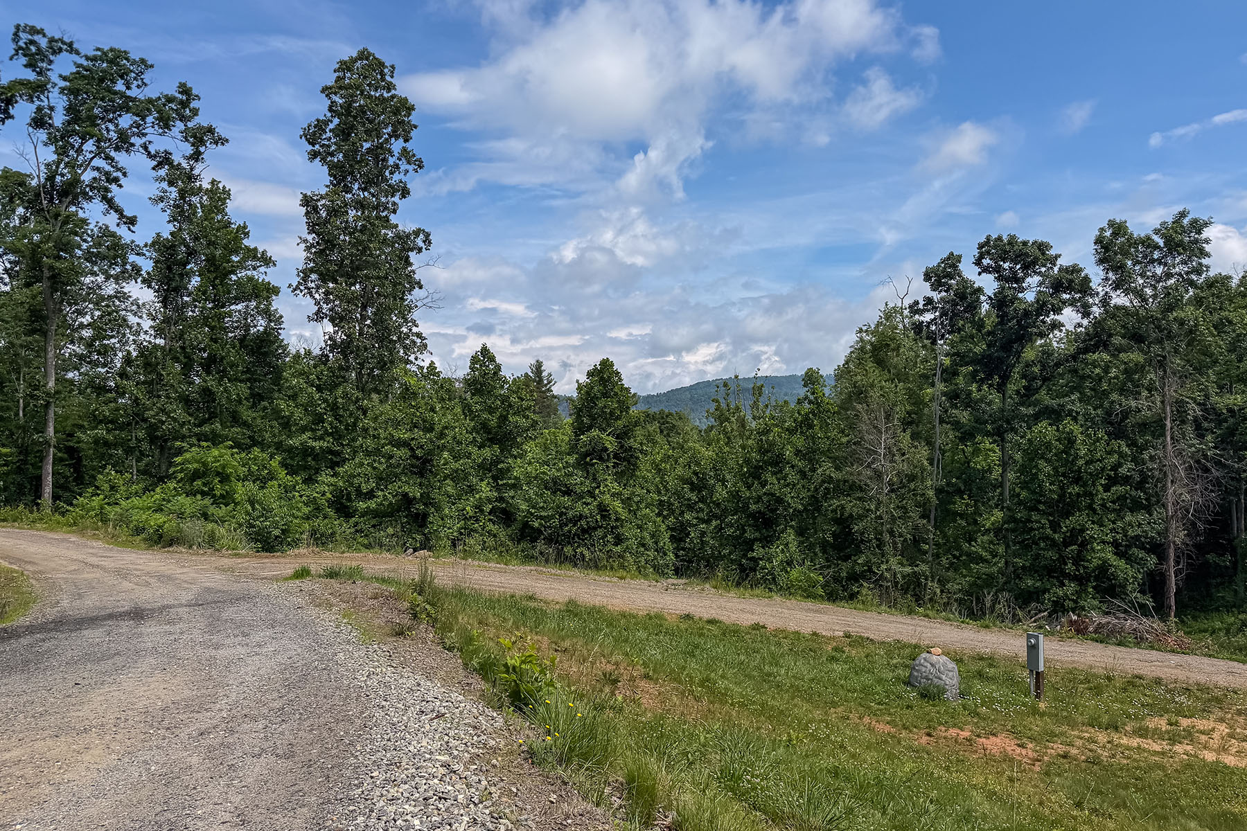  WEAVERVILLE - 物件實景
