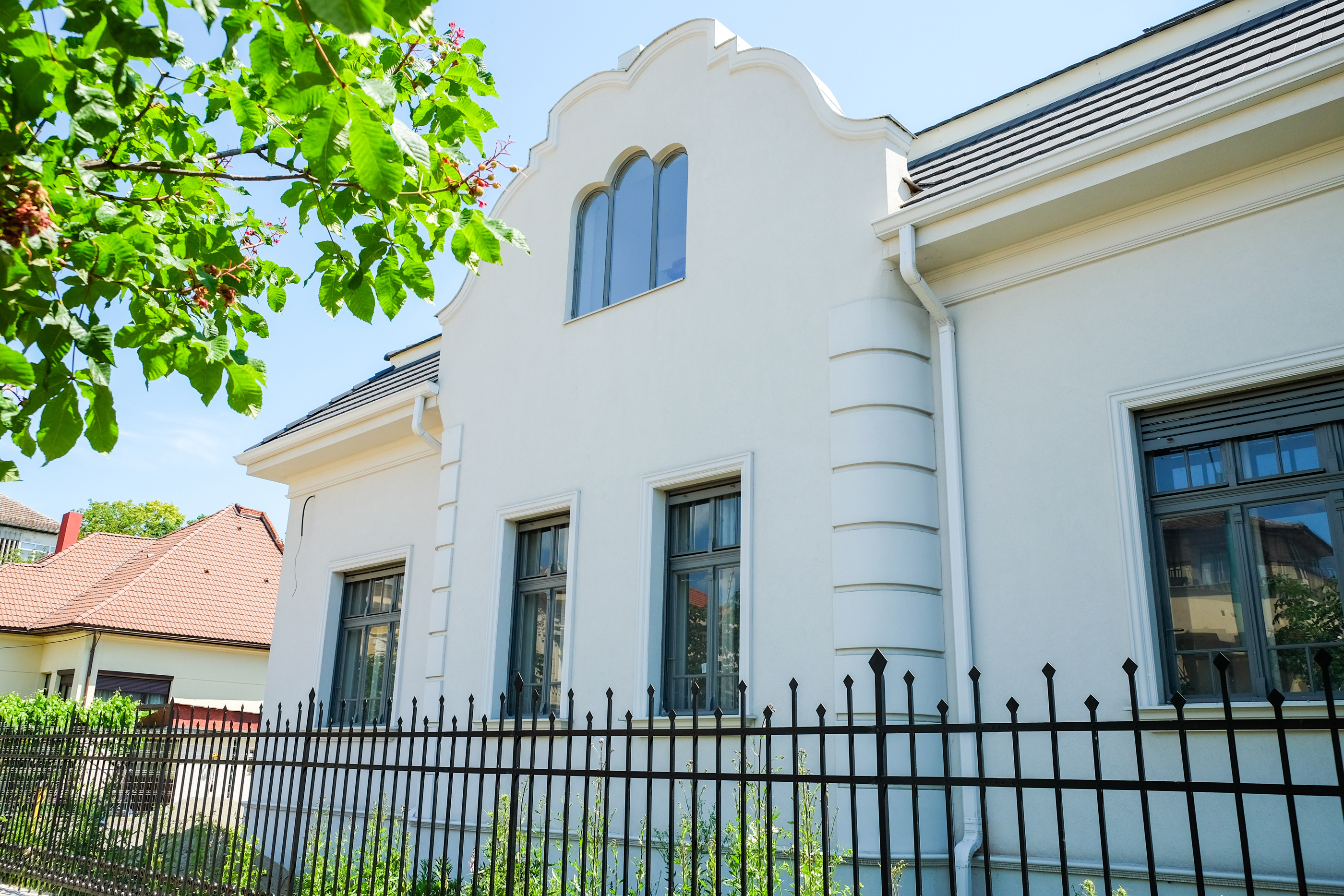  2 Renovated Versatile Buildings in Timioara’s Historic Center - 物件實景