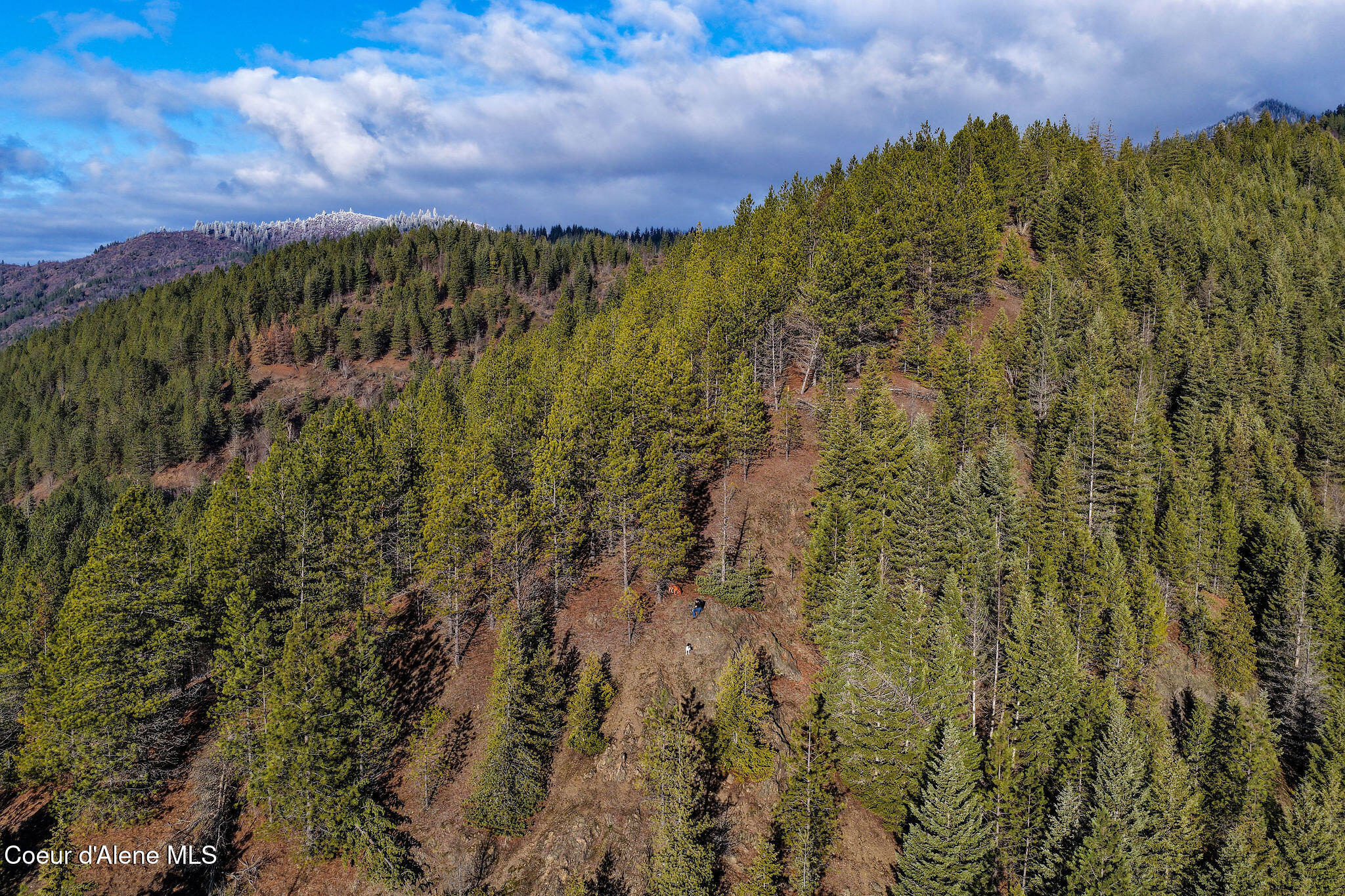 Kellogg, Idaho, 83837, United States, ,Land,For Sale,2012568