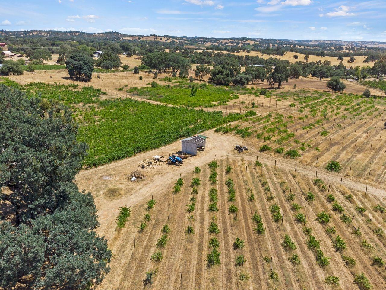 21226 Dickson Road, Plymouth, California, 95669, United States, ,Land,For Sale,21226 Dickson Road,1672447