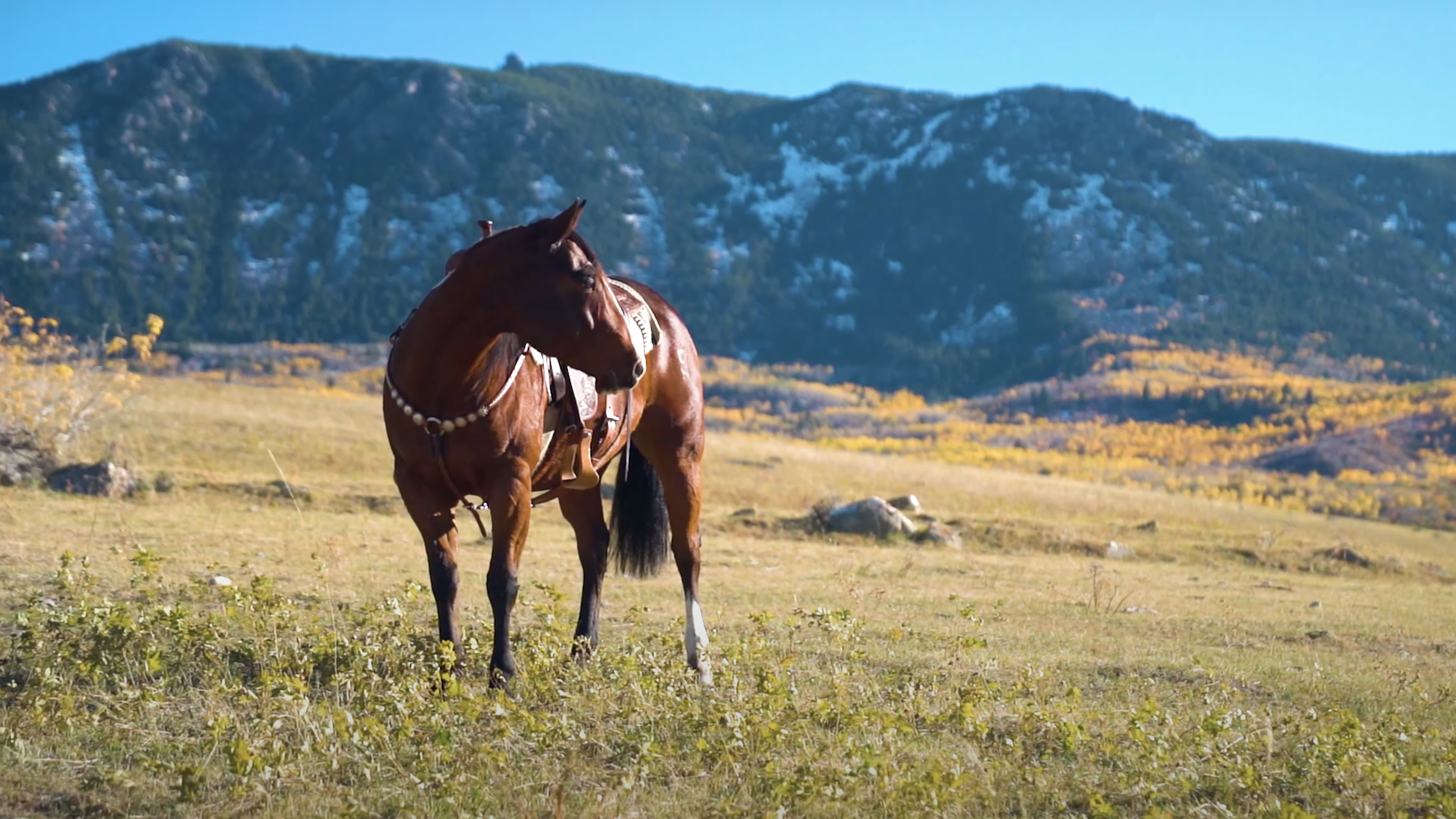Big Horn, Wyoming, 82833, United States, ,Residential,For Sale,1887054