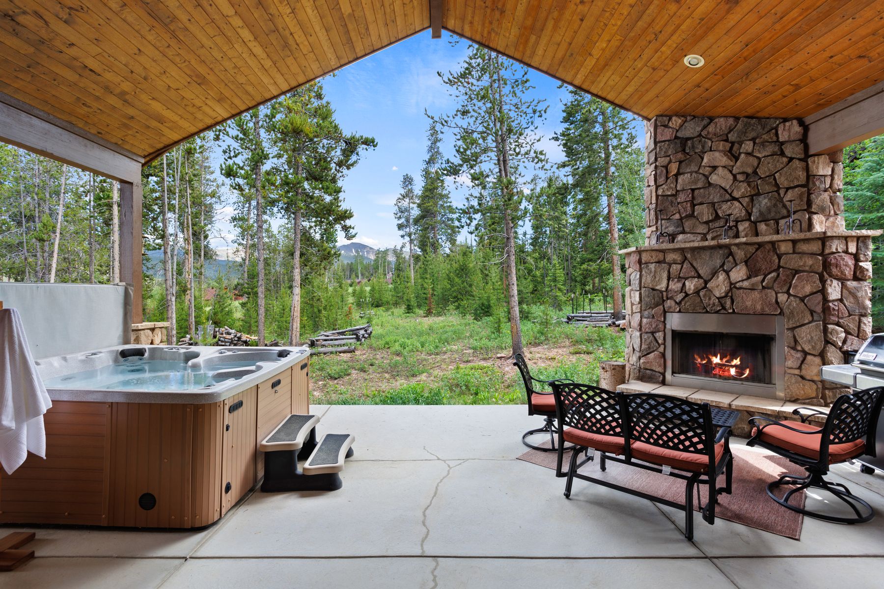  217 Leland Creek, Winter Park, CO, 80482 - 物件實景