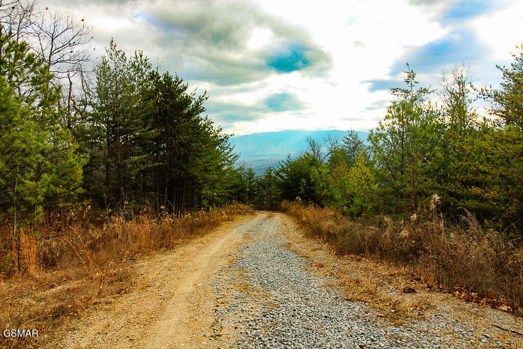 Sevierville, Tennessee, 37876, United States, ,Land,For Sale,2009102