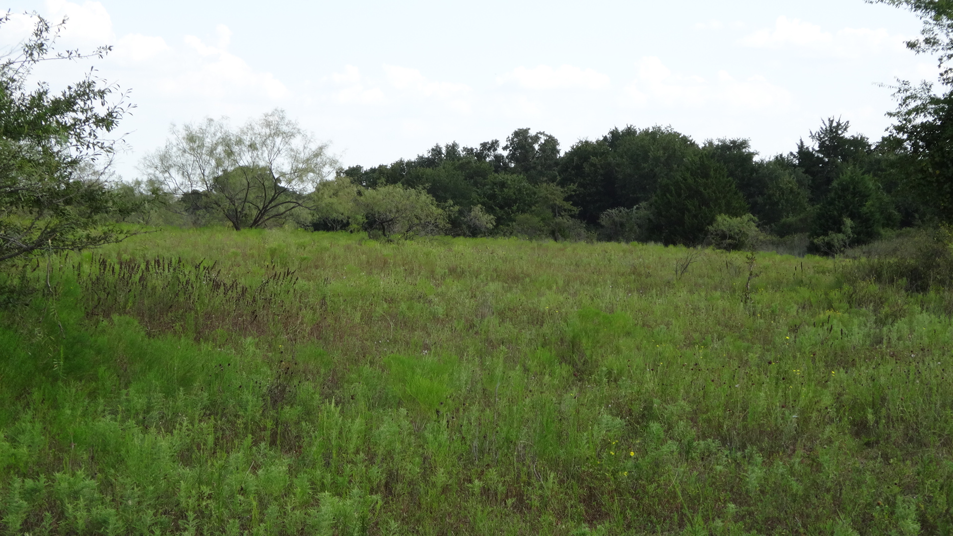 0 Highway 114, Boyd, Texas, 76023, United States, ,Residential,For Sale,0 Highway 114,1008641