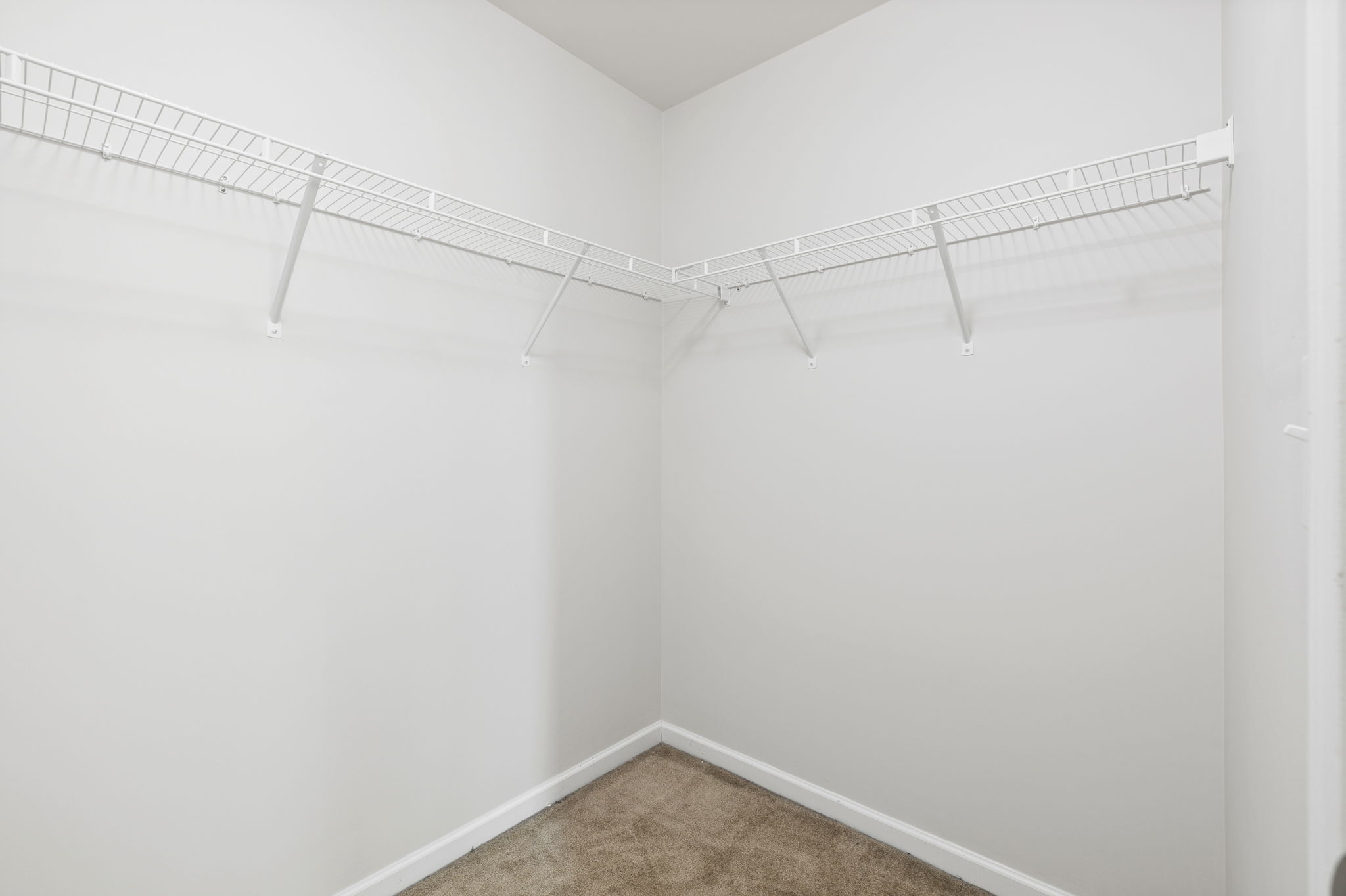 ObjectPhoto29