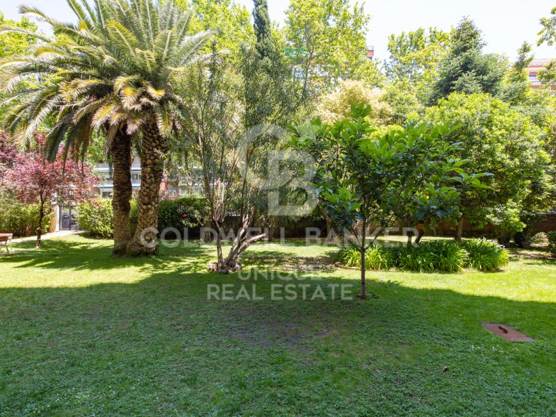 Madrid, Comunidad de Madrid, ES, 5 Bedrooms Bedrooms, ,3 BathroomsBathrooms,Residential,For Sale,1847498