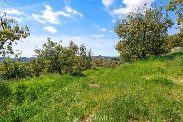 Temecula, California, 92590, United States, ,Land,For Sale,1981678