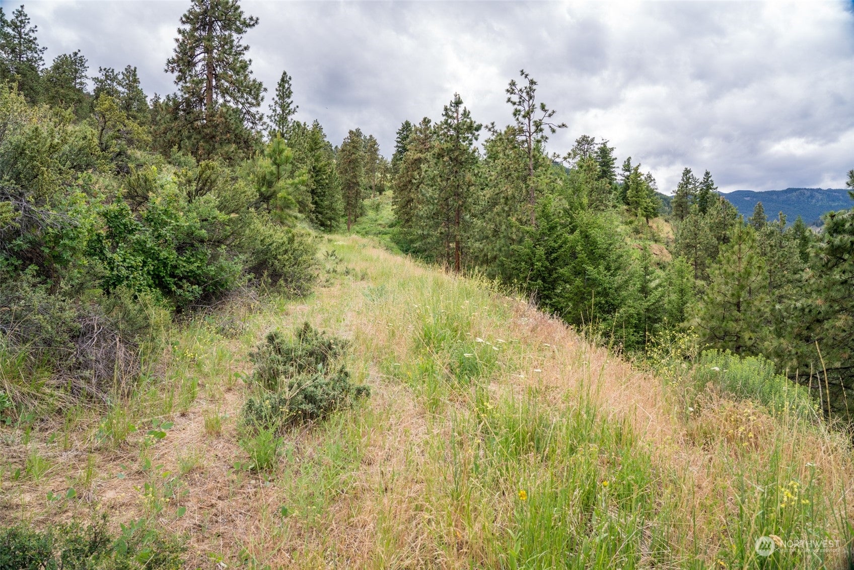 Wenatchee, Washington, 98801, United States, ,Land,For Sale,1690373