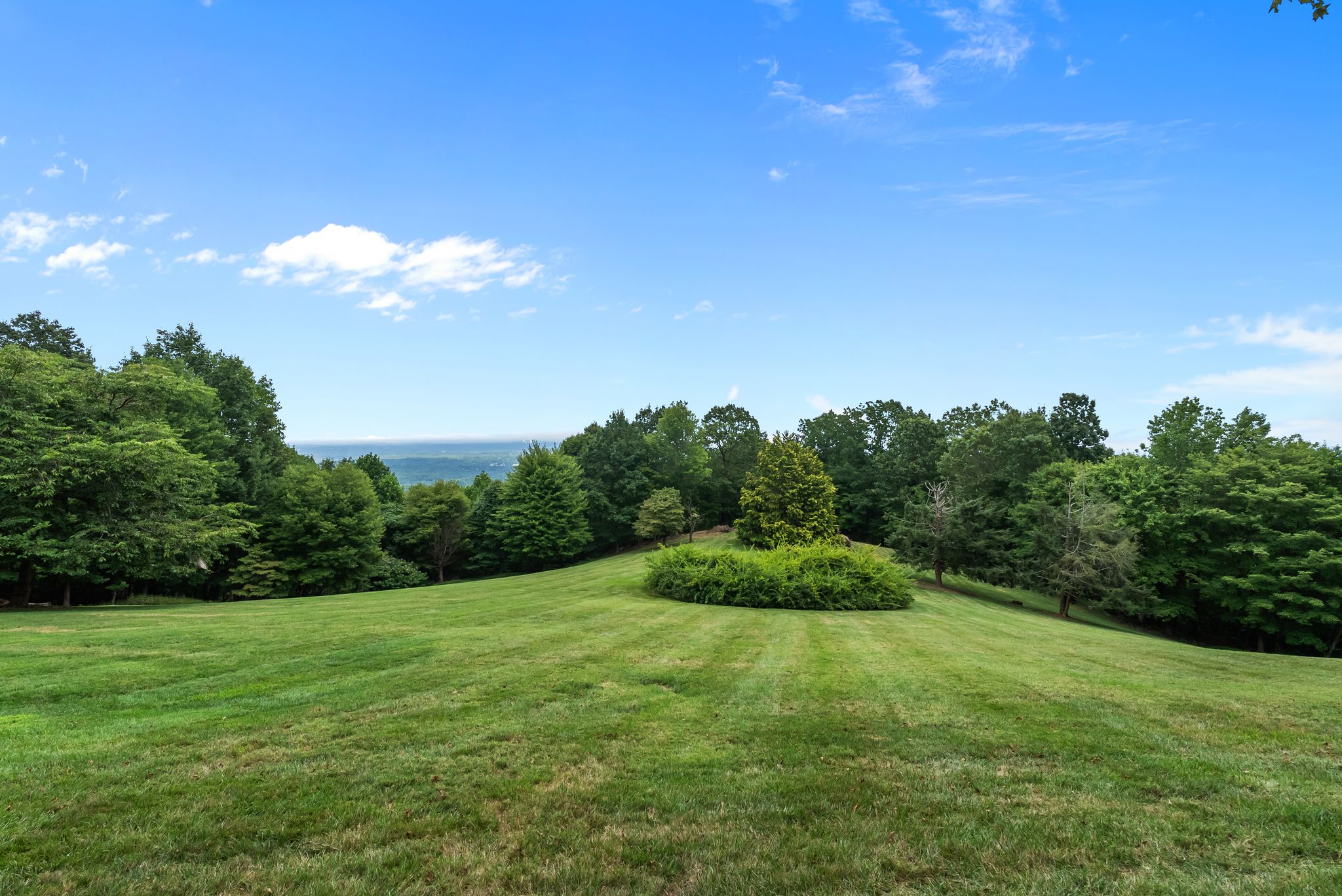  110 Huckleberry Ridge, Greenville, SC 29609 - 物件實景