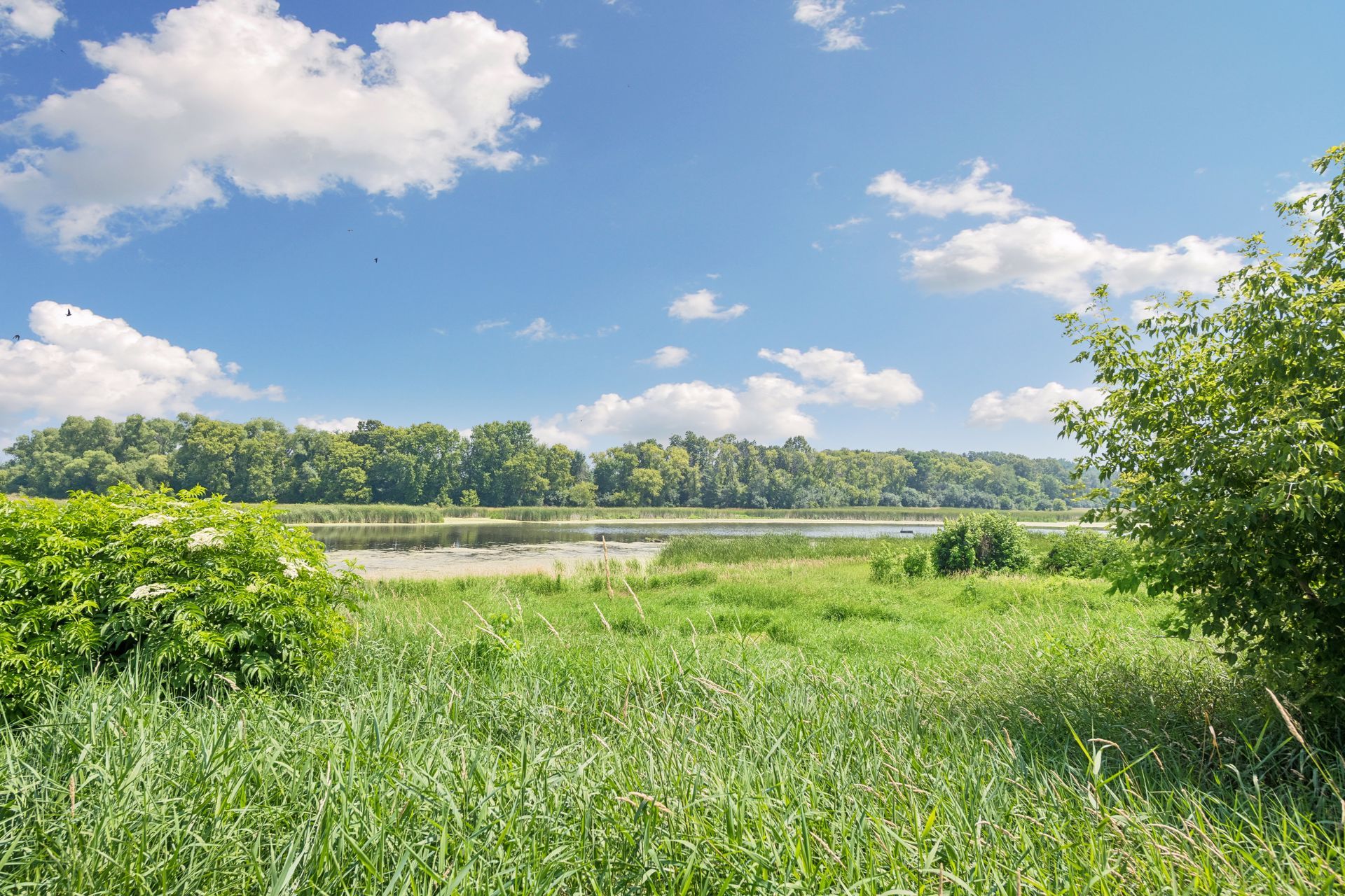  Private Prior Lake Farmstead and Nature Retreat - 物件實景