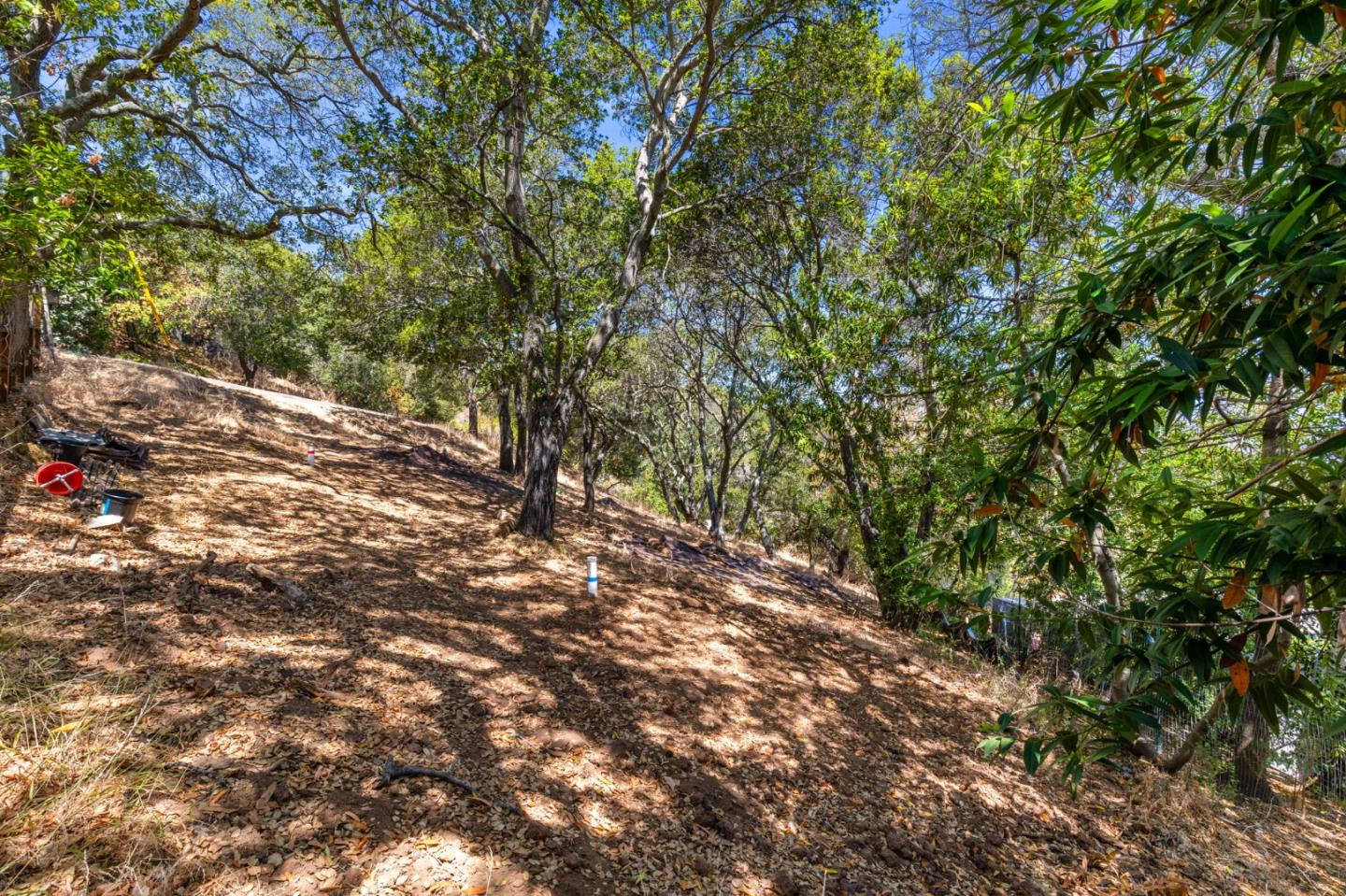 Redwood City, California, 94062, United States, ,Land,For Sale,1907554