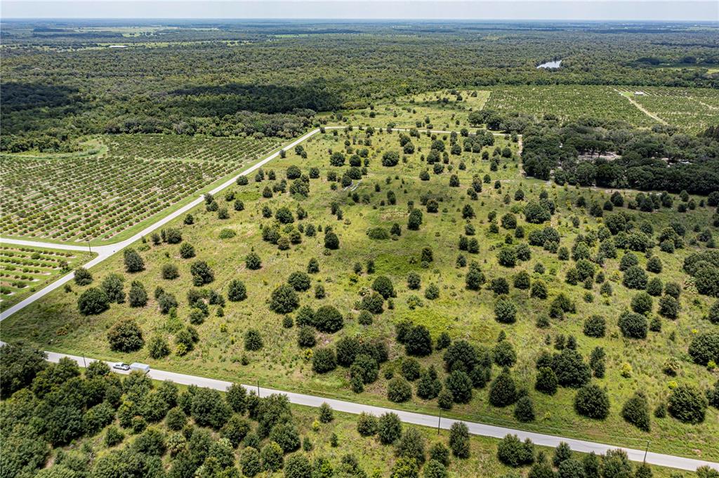 Arcadia, Florida, 34269, United States, ,Land,For Sale,1997252