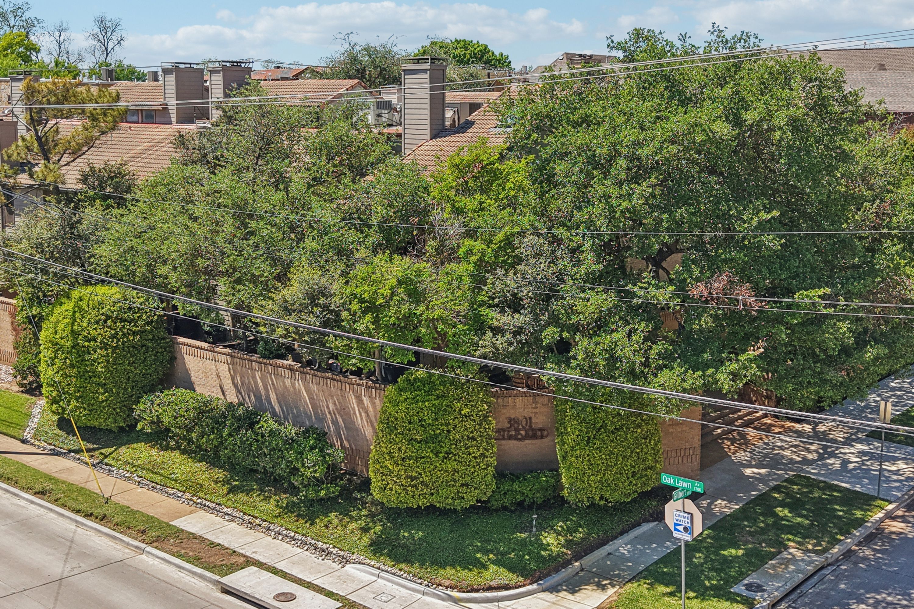  Treehouse Vibes in SoHiP - 物件實景