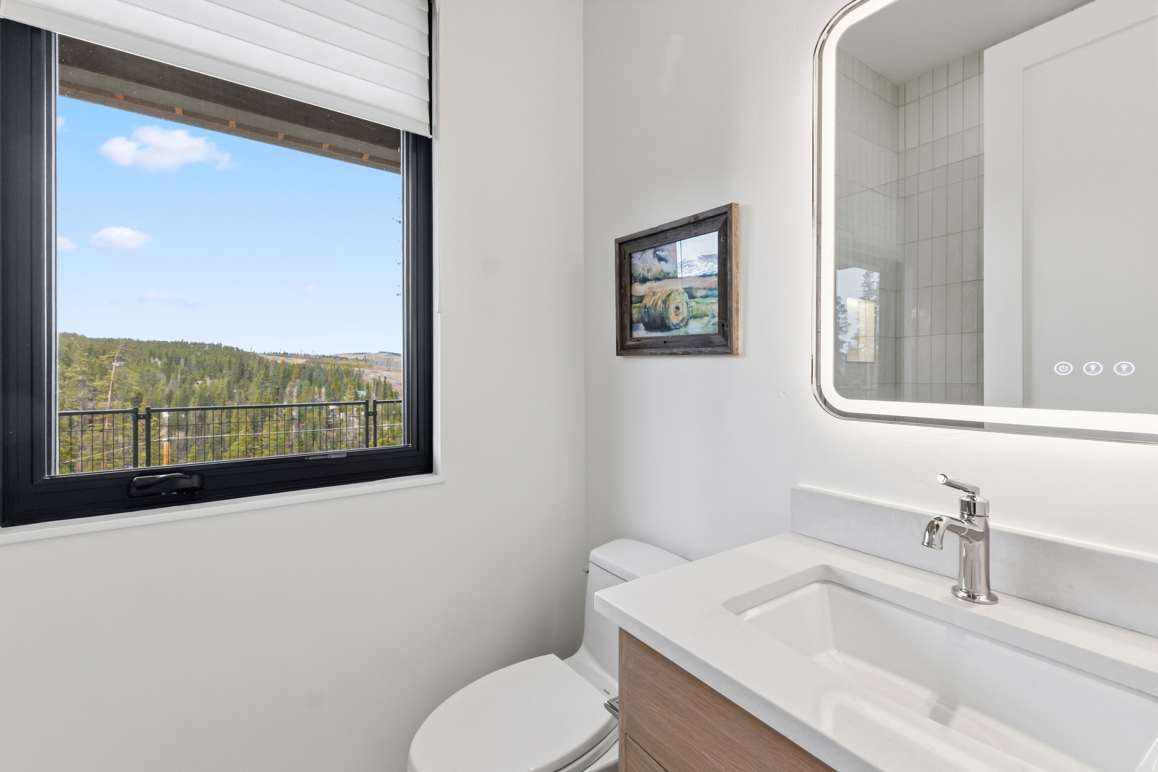  175 Protector Place, Breckenridge, CO, 80424 - 物件實景