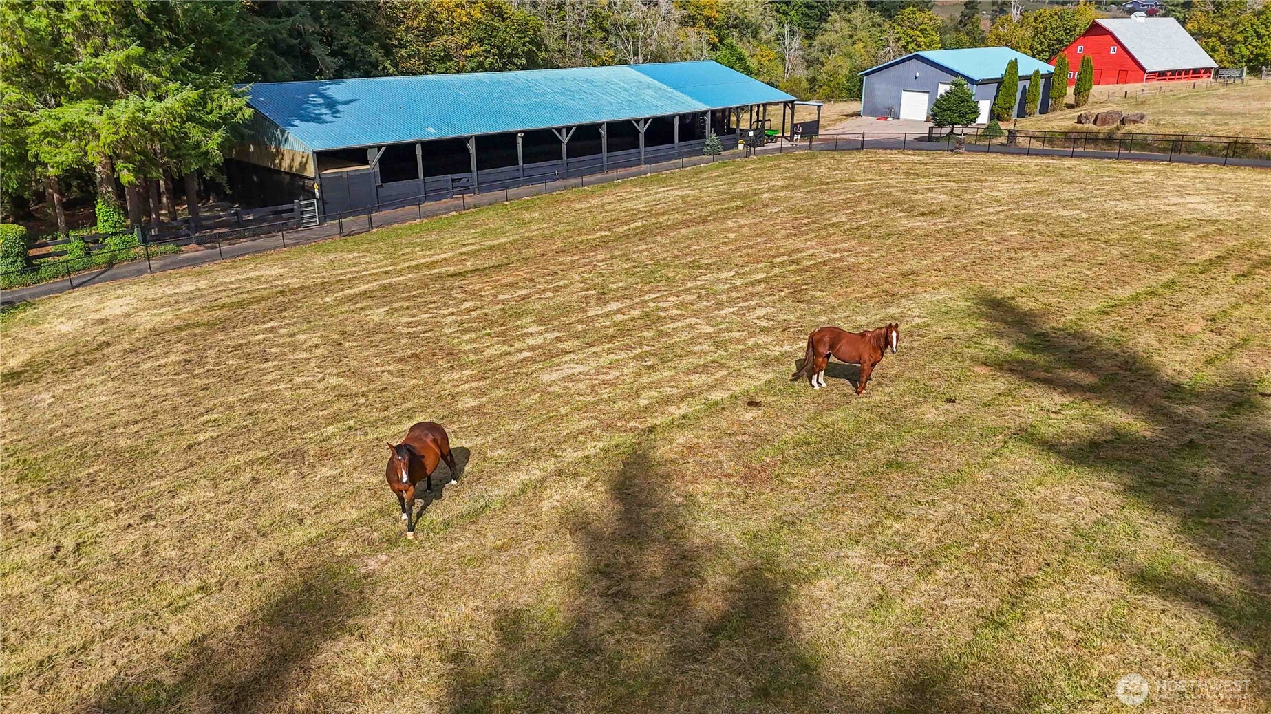 Longview, Washington, 98632, United States, 4 Bedrooms Bedrooms, ,2 BathroomsBathrooms,Residential,For Sale,1986535