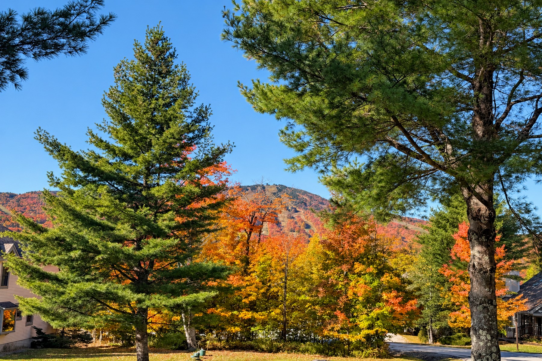  83C Greensprings Road - 物件實景