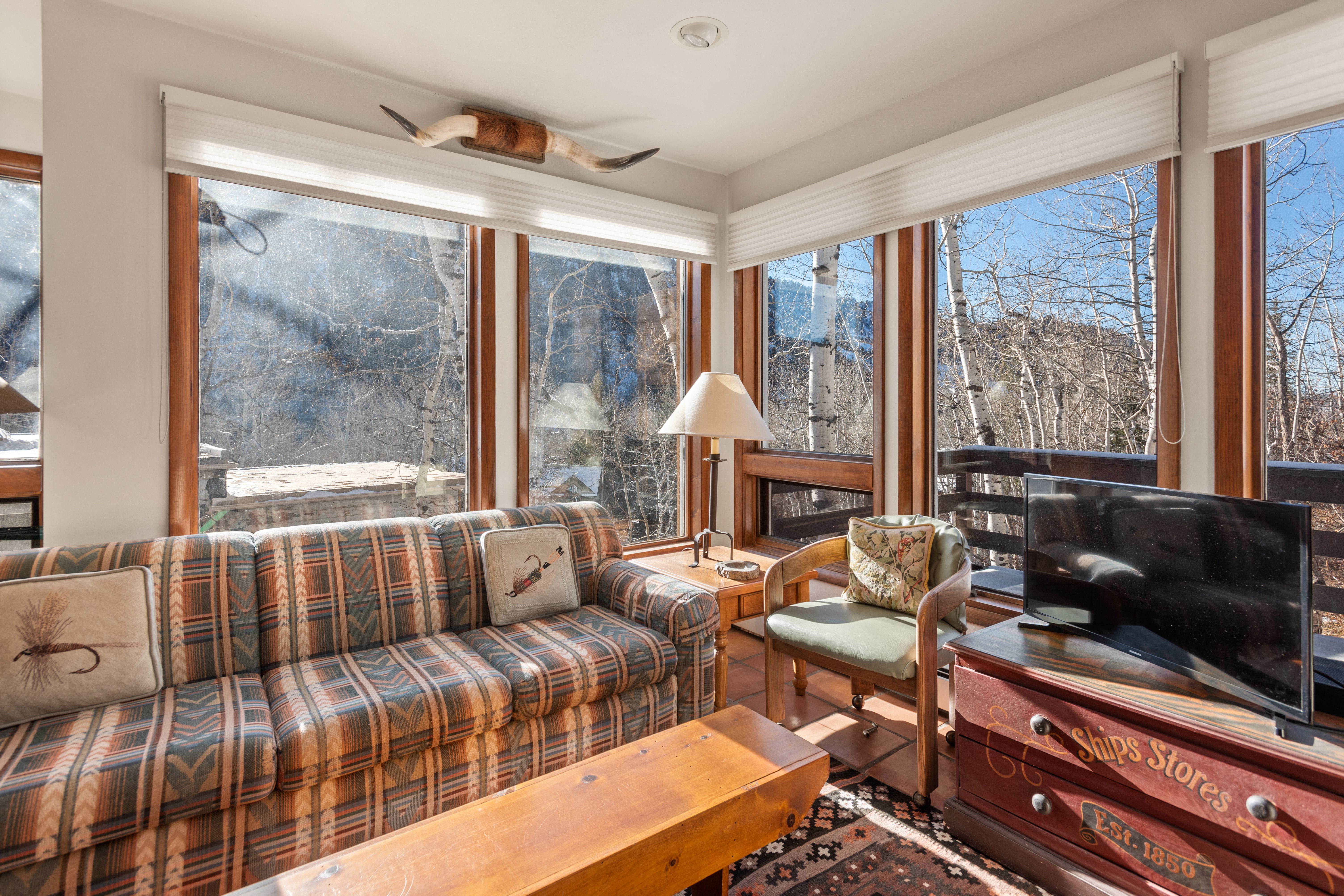  246 Roaring Fork Drive, Aspen, CO, 81611 - 物件實景