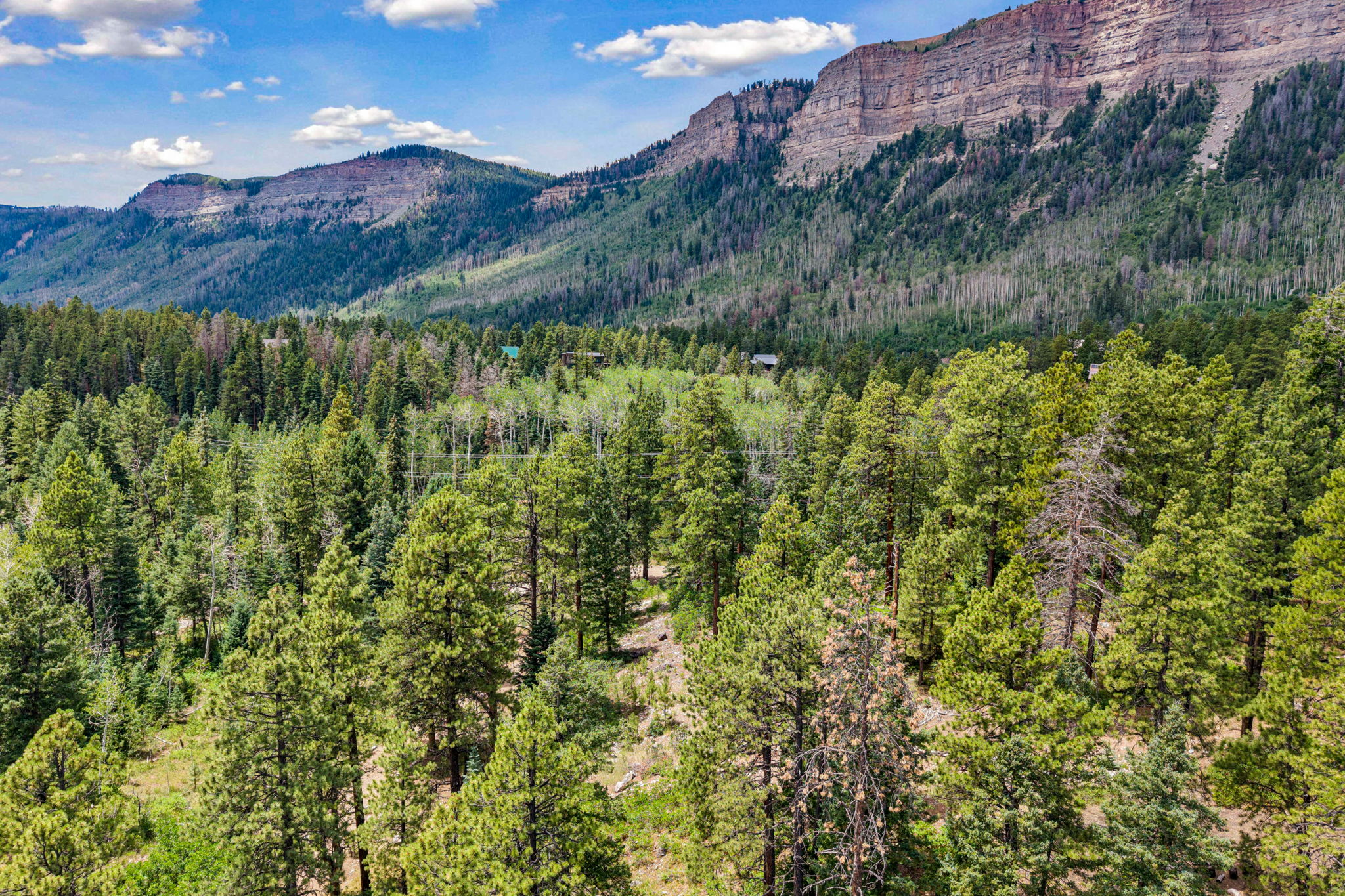  TBD East Spruce Mesa Drive, Durango, CO 81301 - 物件實景