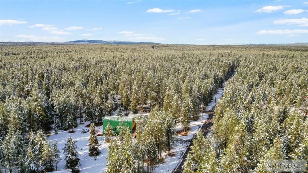 ISLAND PARK, Idaho, 83429, United States, 2 Bedrooms Bedrooms, ,2 BathroomsBathrooms,Residential,For Sale,1979028