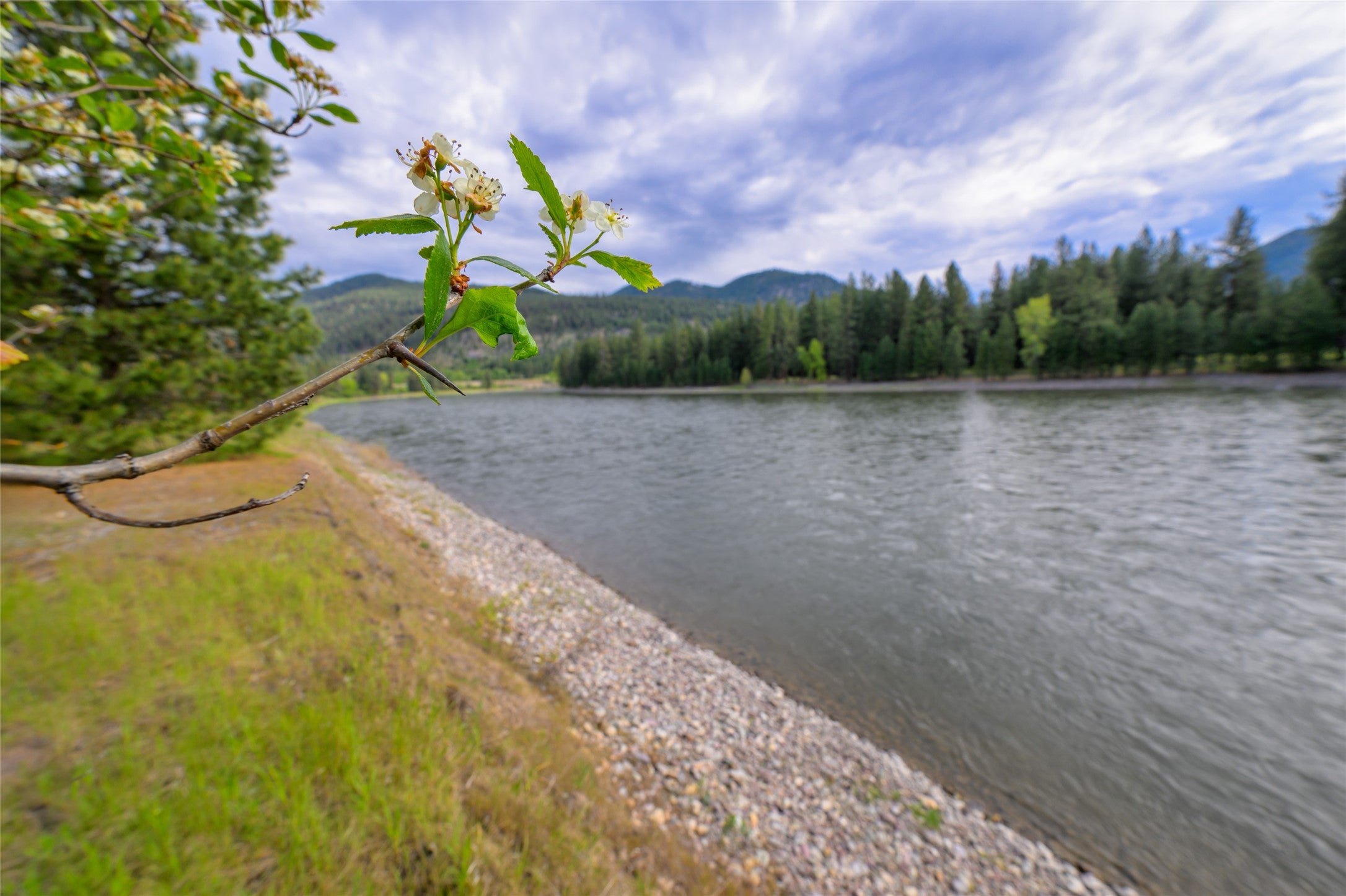 St Regis, Montana, 59866, United States, ,Land,For Sale,1848990